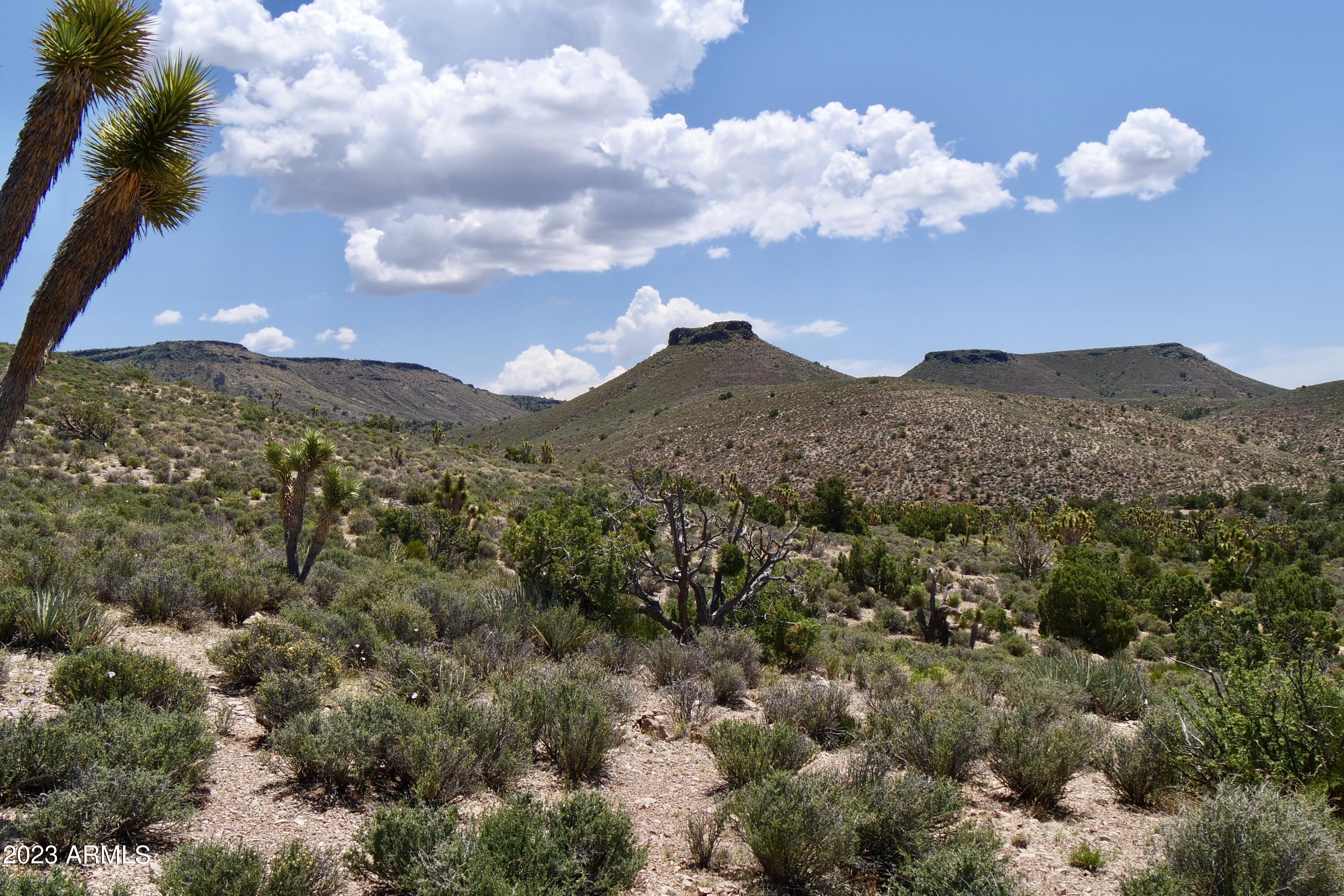 5838 East Diamond Bar Road Meadview, AZ 86444 - Photo 18 of 26 P1032608