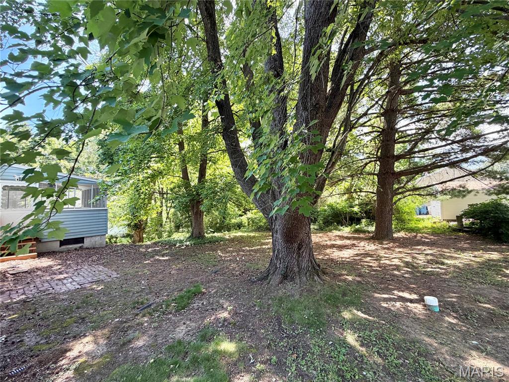 35 Mather Street Alton, IL 62002 - Photo 3 of 23