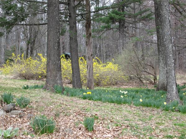 400 Kennedy Road Northampton, MA 01053 - Photo 19 of 22