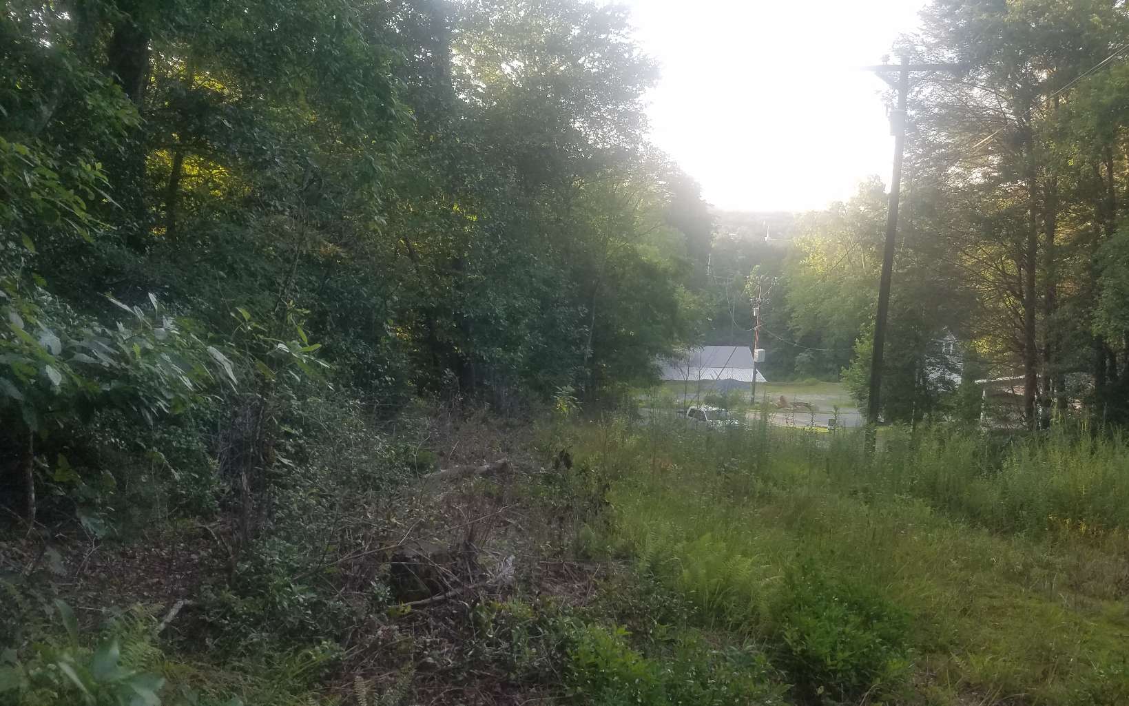 Lot 3 Bluebird Lane Blue Ridge, GA 30513 - Photo 2 of 4 Additional View