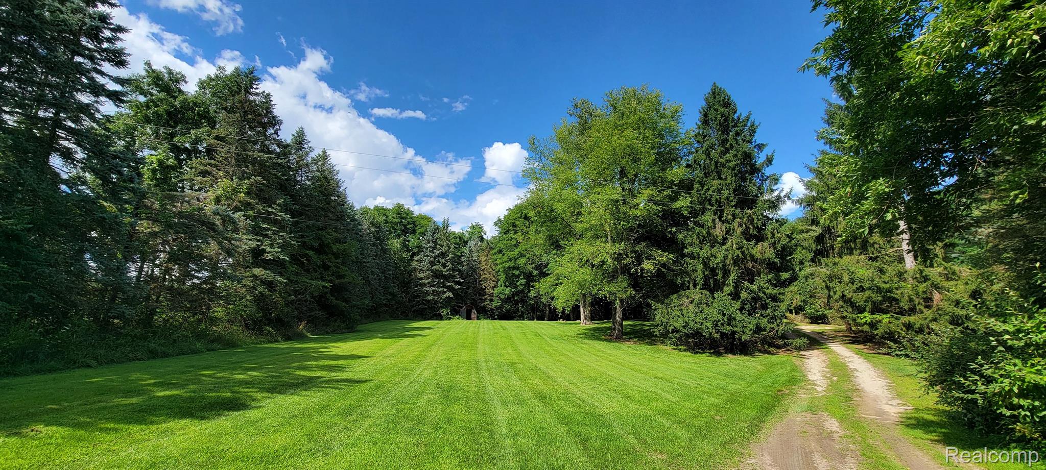 1233 East Schafer Road Howell, MI 48843 - Photo 6 of 43 200 foot driveway