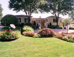 a view of a house with a yard and potted plants