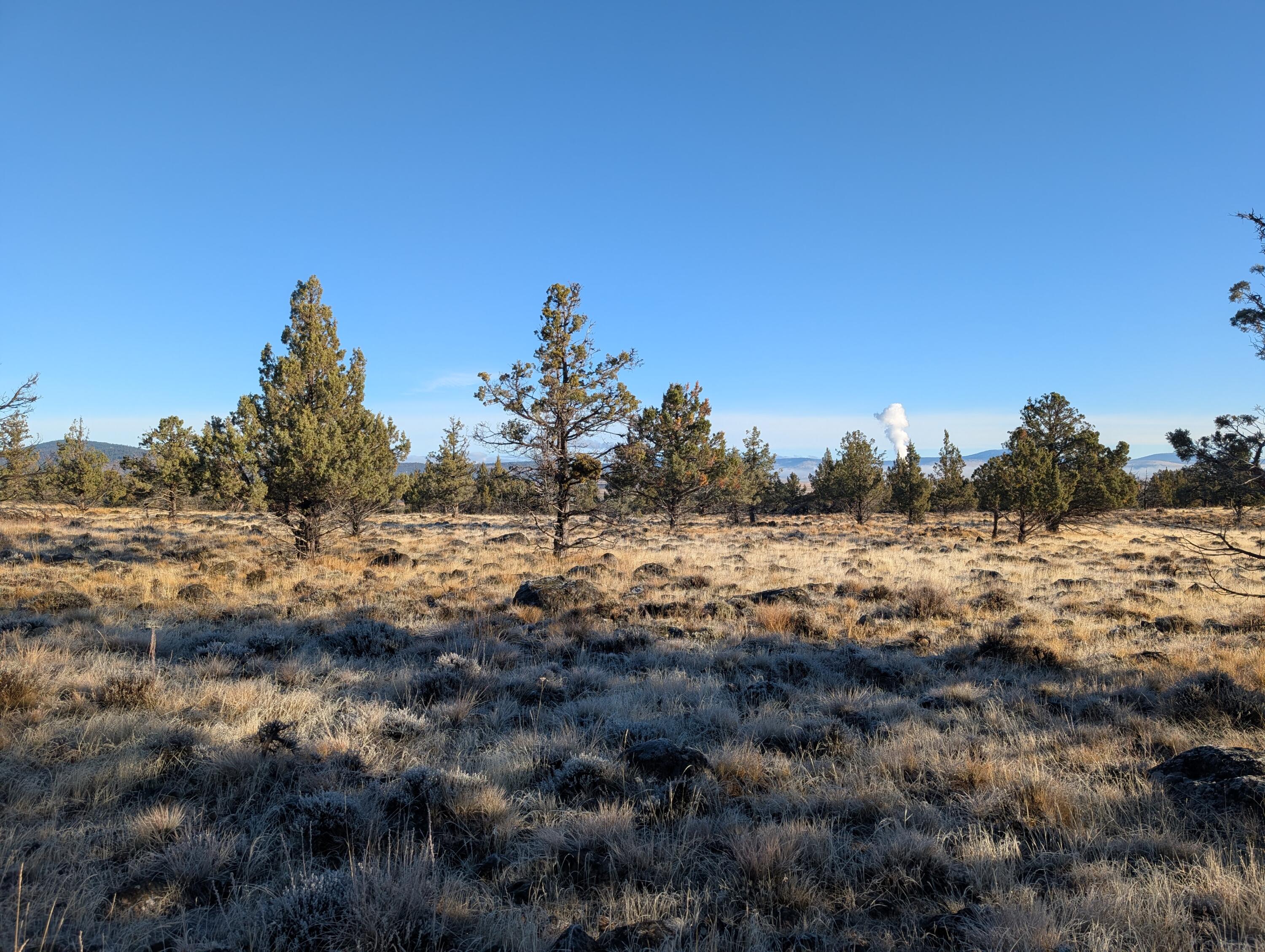 Cedar Trail Klamath Falls, OR 97603 - Photo 6 of 24 PXL_20251027_161735294