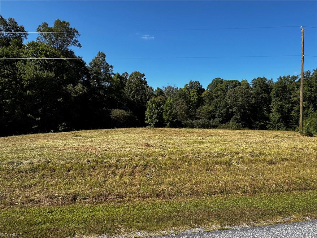 0 John Harger Road Walnut Cove, NC 27052 - Photo 2 of 6 Gallery Image 2