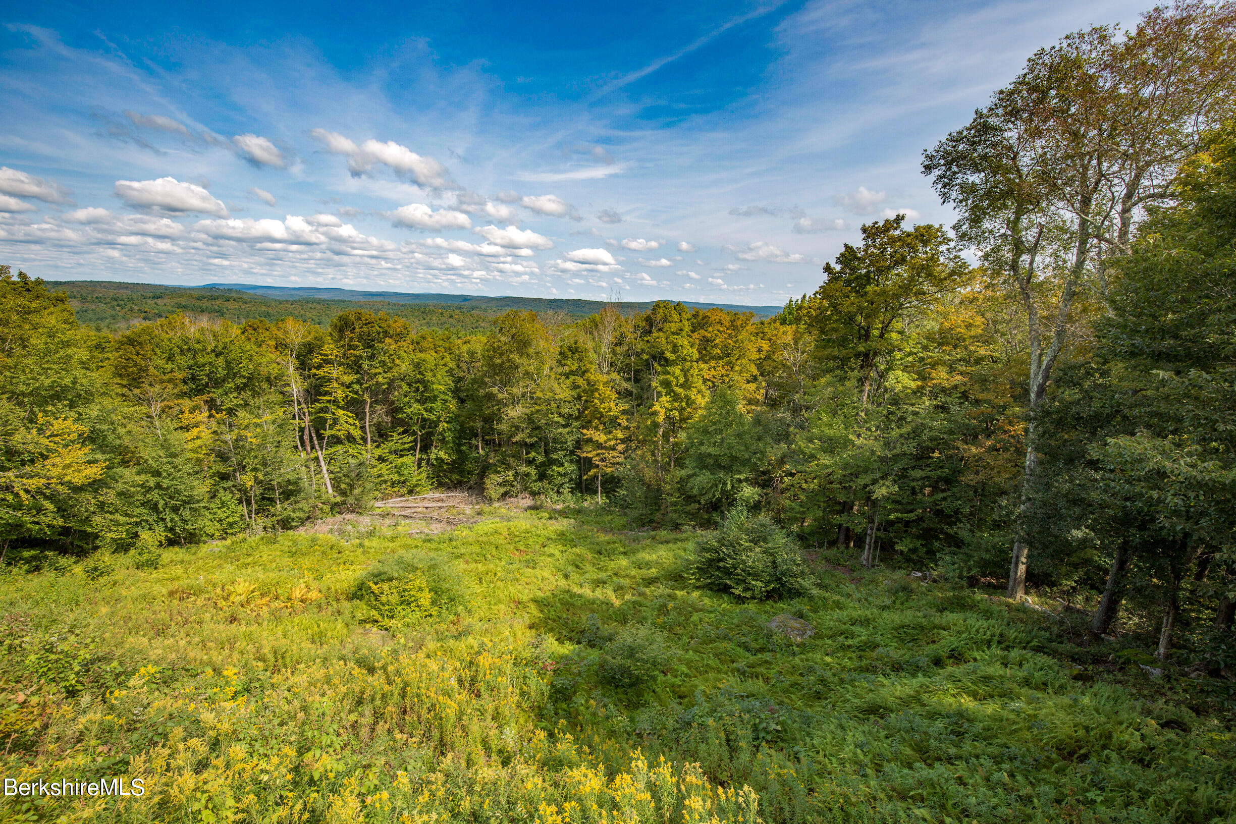 795 Moberg Road Becket, MA 01223 - Photo 2 of 41 a view of an outdoor space and a yard