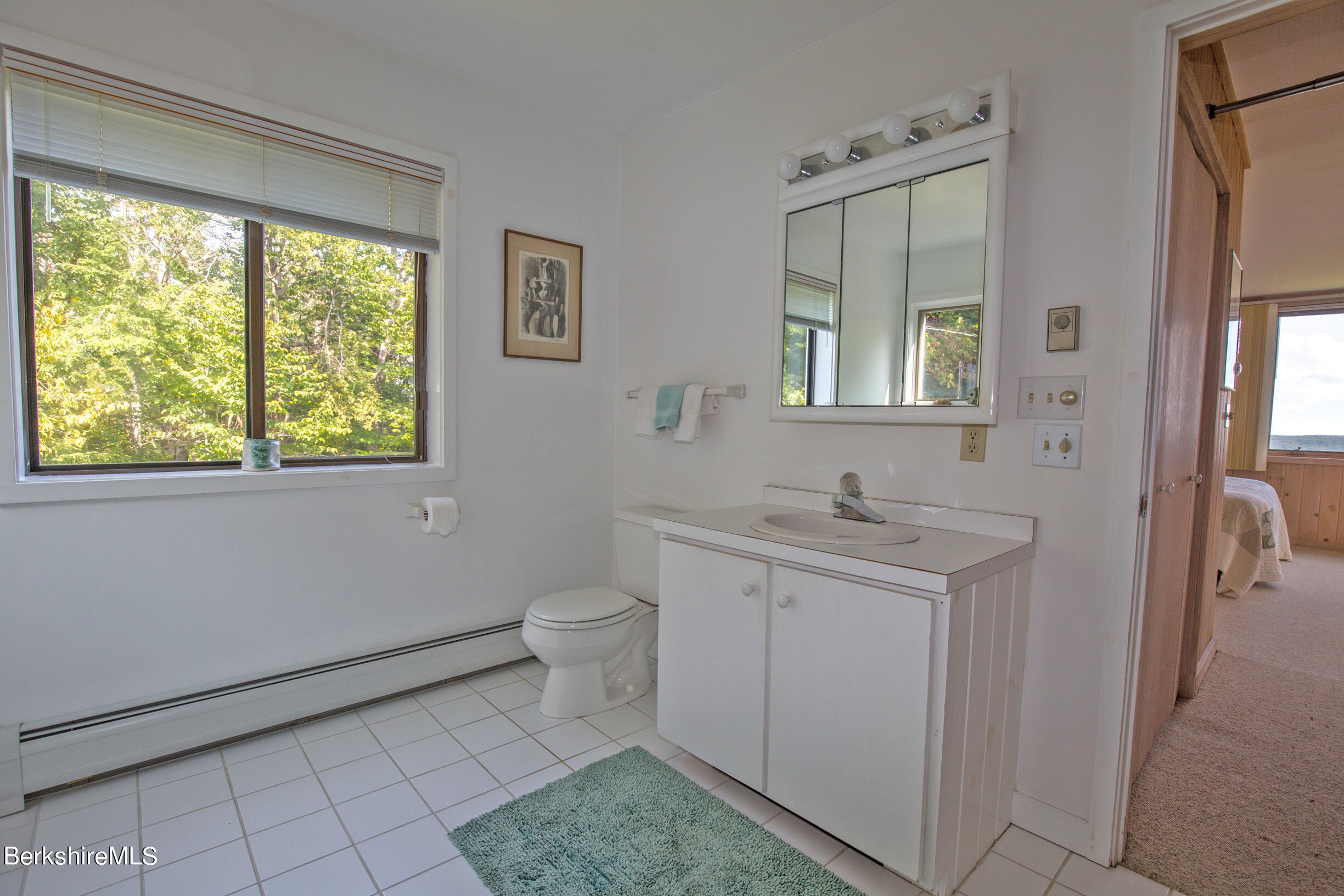 795 Moberg Road Becket, MA 01223 - Photo 25 of 41 a bathroom with a sink a toilet and a window