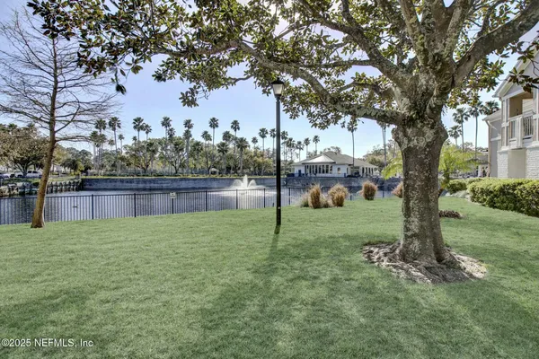 a view of a garden with a tree