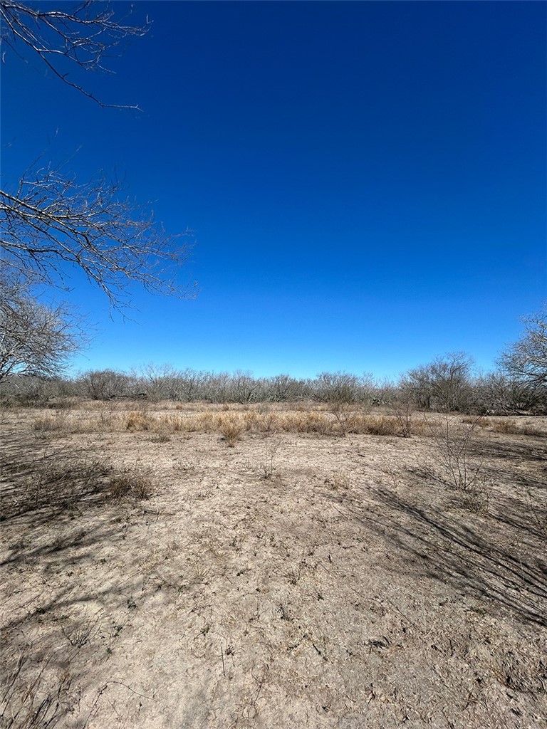 179 County Road Alice, TX 78332 - Photo 18 of 20 Gallery Image 18