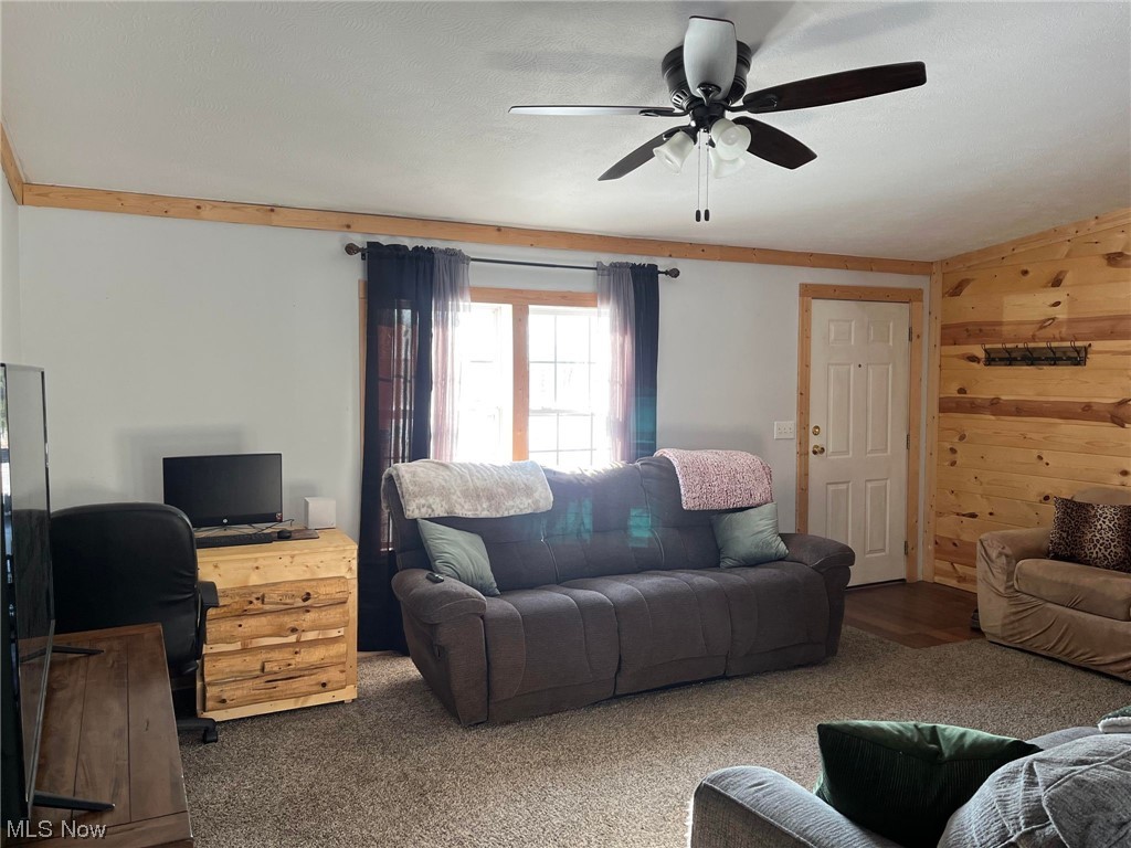 37604 Eagleton Road Lisbon, OH 44432 - Photo 11 of 50 Living room with dark carpet and ceiling fan