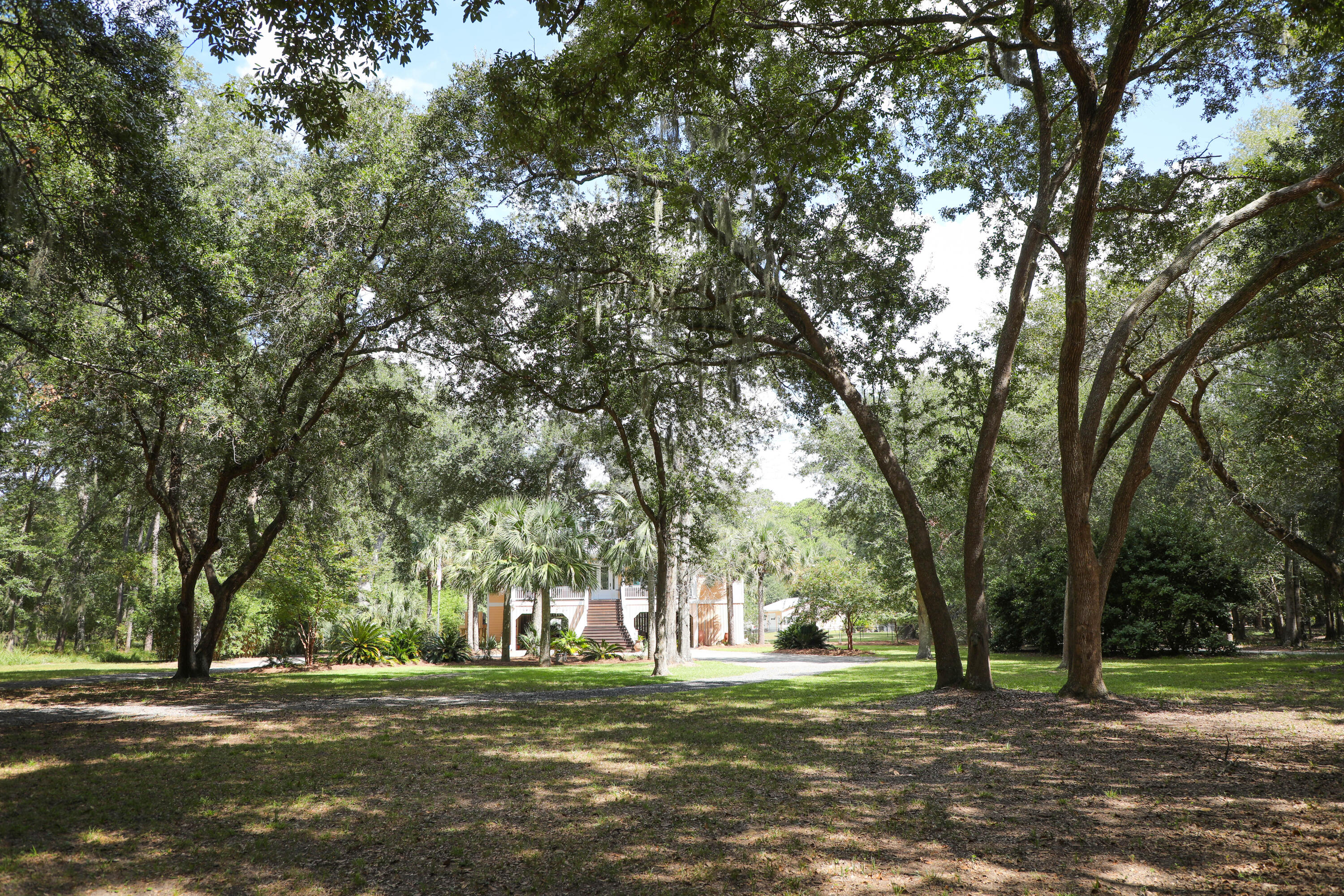 8760 Palmetto Road Edisto Island, SC 29438 - Photo 4 of 62 1O9A7712