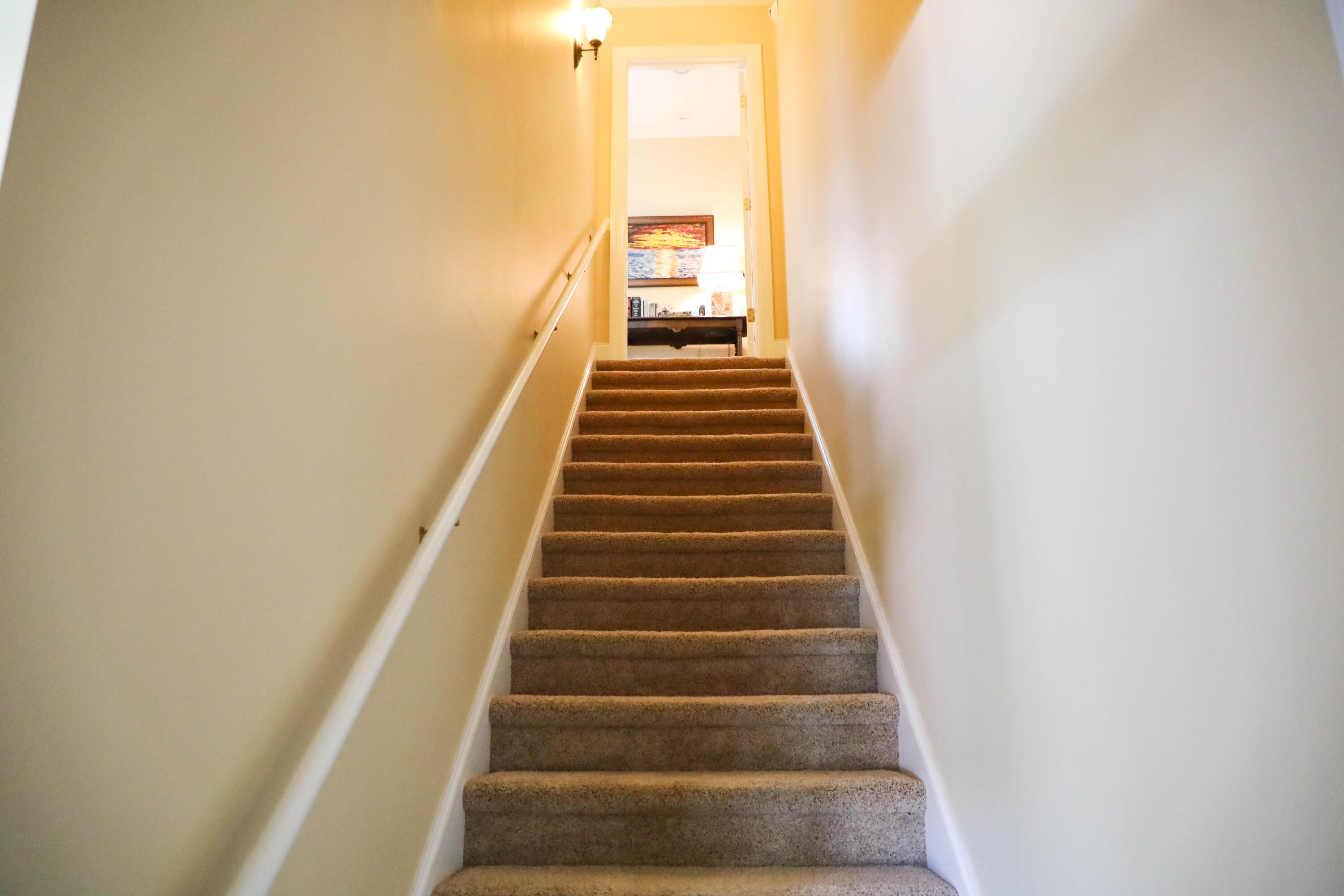 8760 Palmetto Road Edisto Island, SC 29438 - Photo 38 of 62 1O9A7888