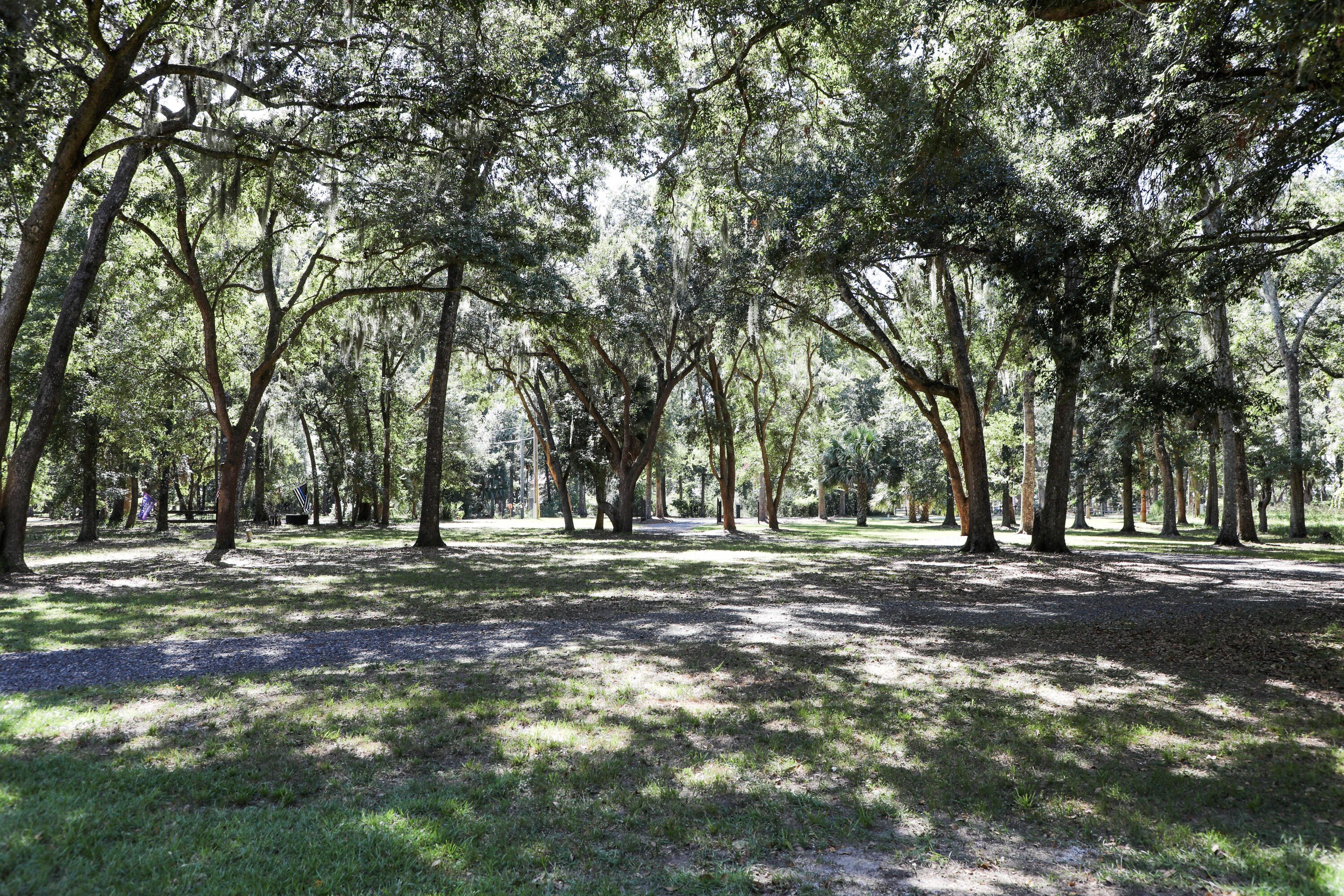 8760 Palmetto Road Edisto Island, SC 29438 - Photo 61 of 62 1O9A7968