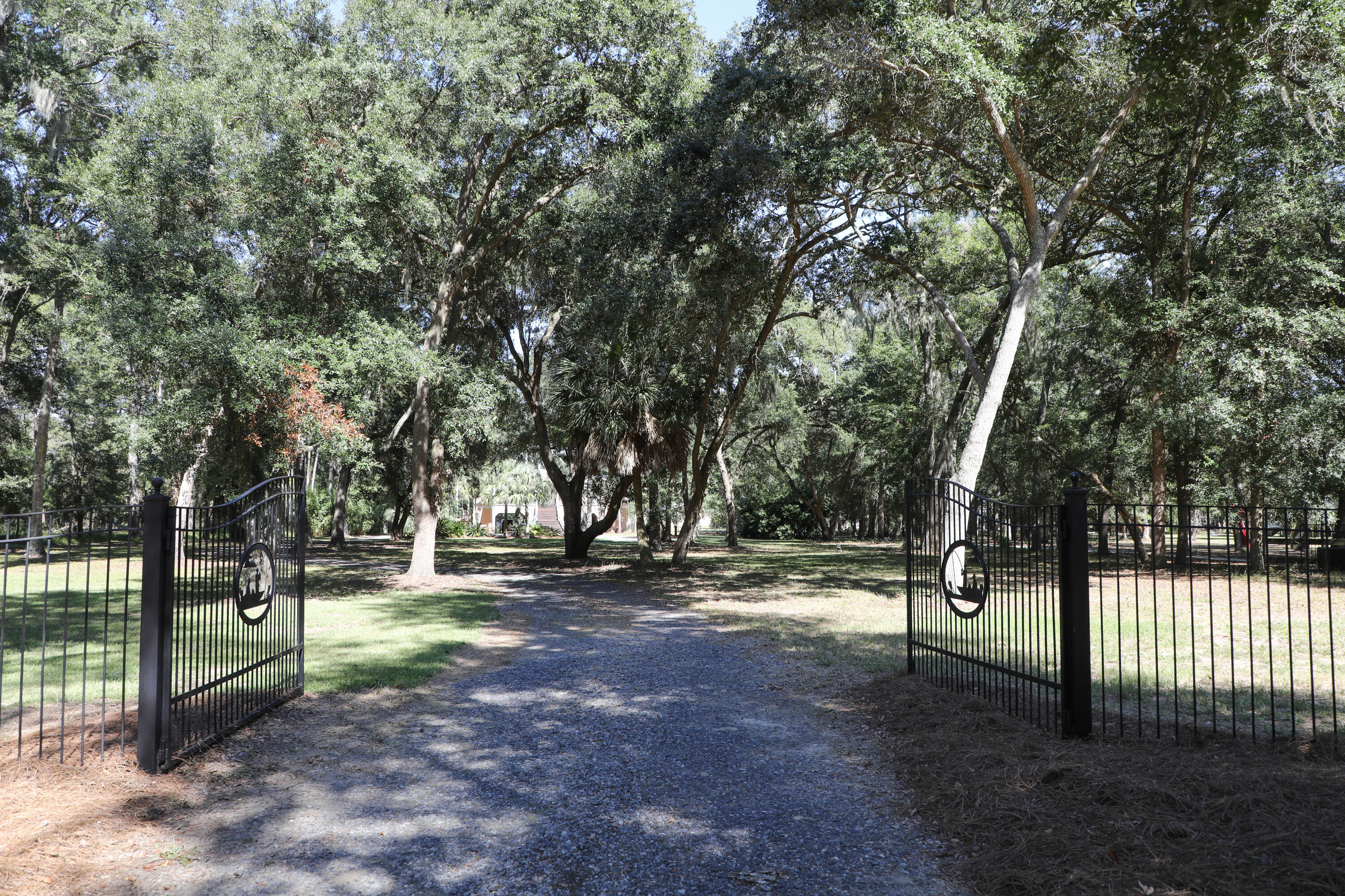 8760 Palmetto Road Edisto Island, SC 29438 - Photo 62 of 62 1O9A7979
