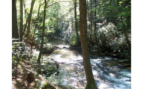 342 Camp David Road Murphy, NC 28906 - Photo 1 of 1 Main View