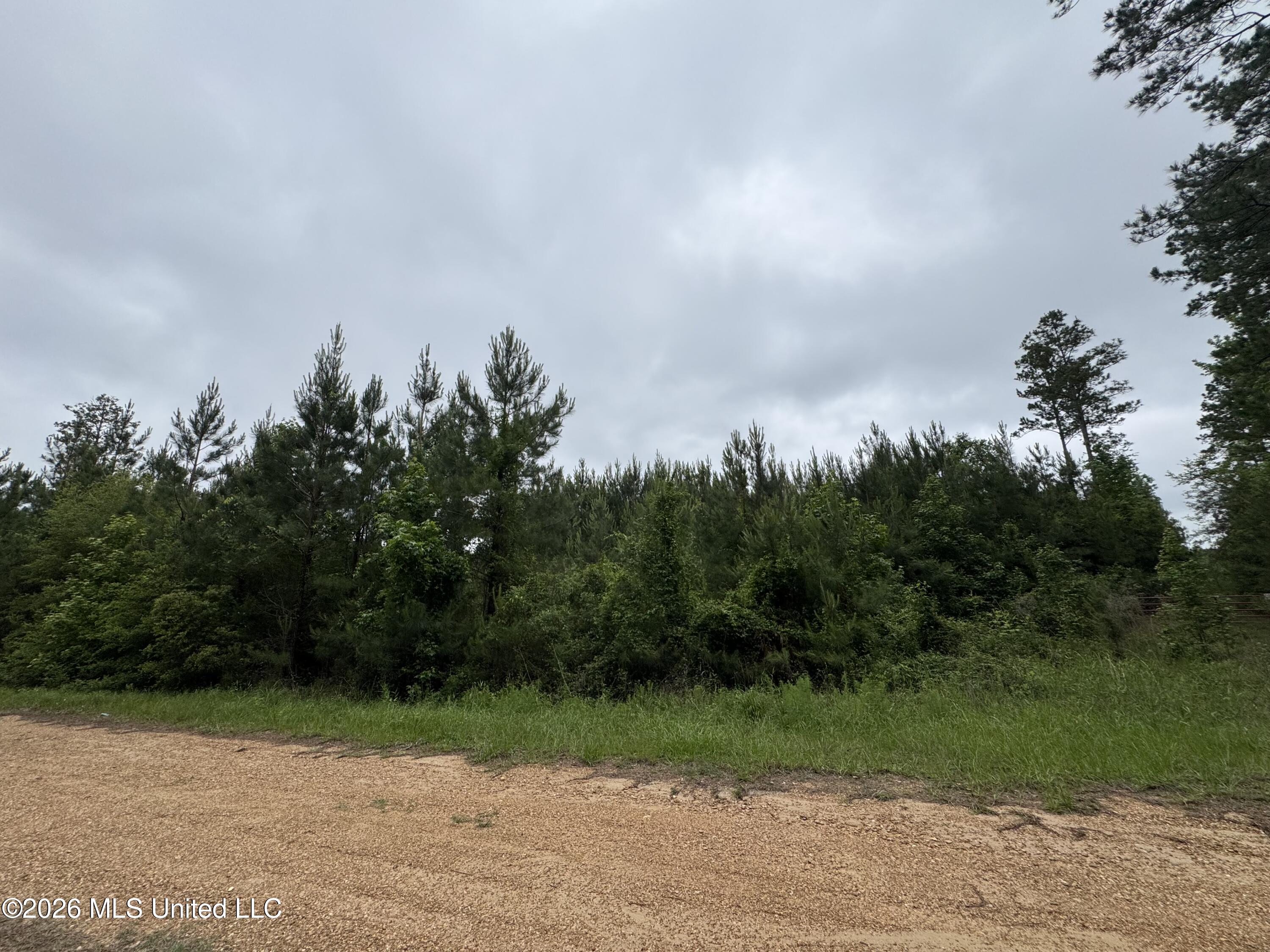 35 Parker Road Crosby, MS 39633 - Photo 14 of 18 IMG_1187