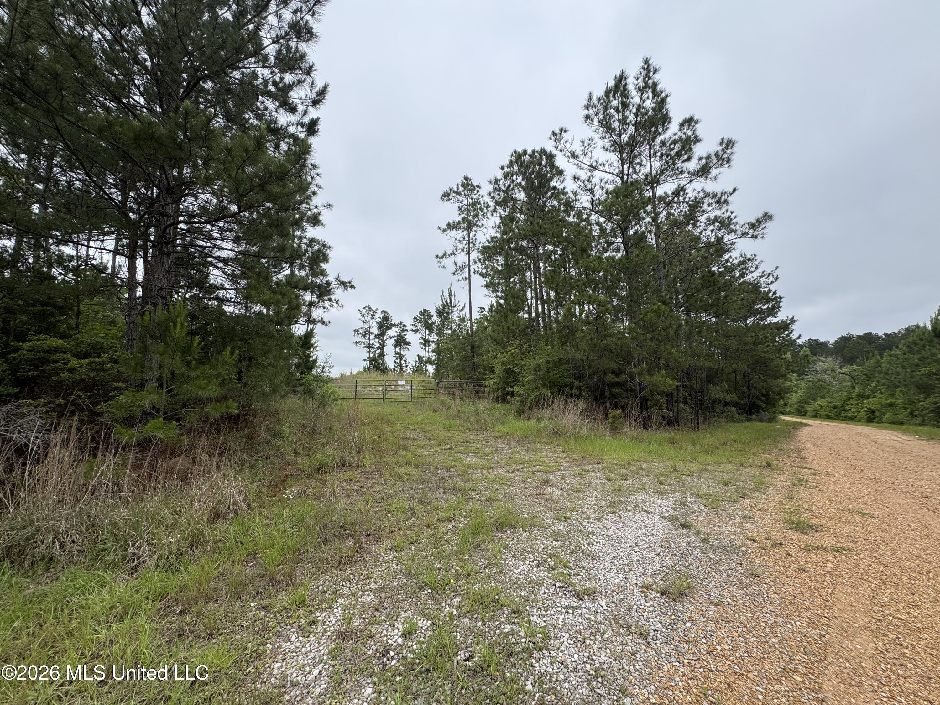 35 Parker Road Crosby, MS 39633 - Photo 3 of 18 IMG_1176