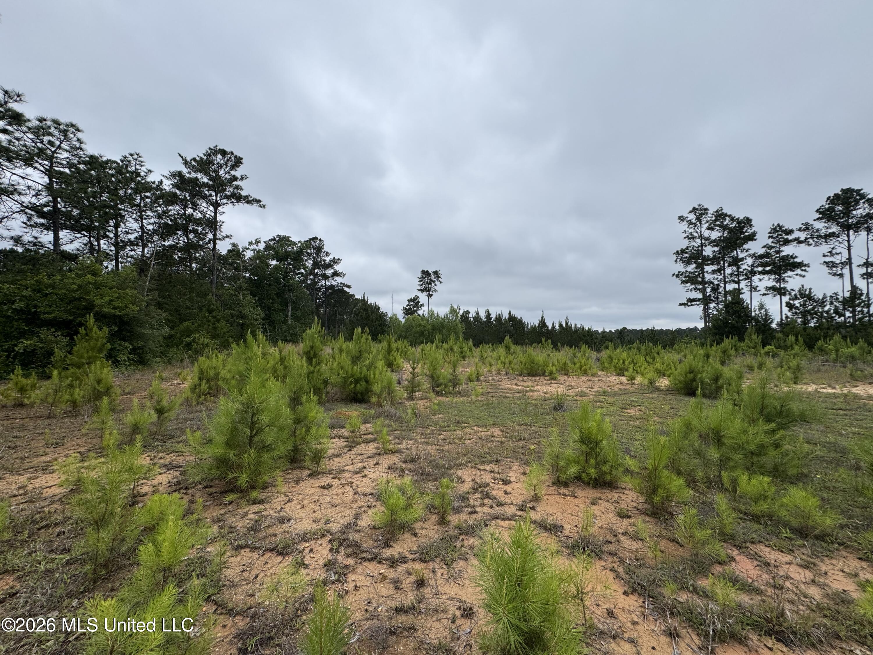 35 Parker Road Crosby, MS 39633 - Photo 5 of 18 IMG_1178
