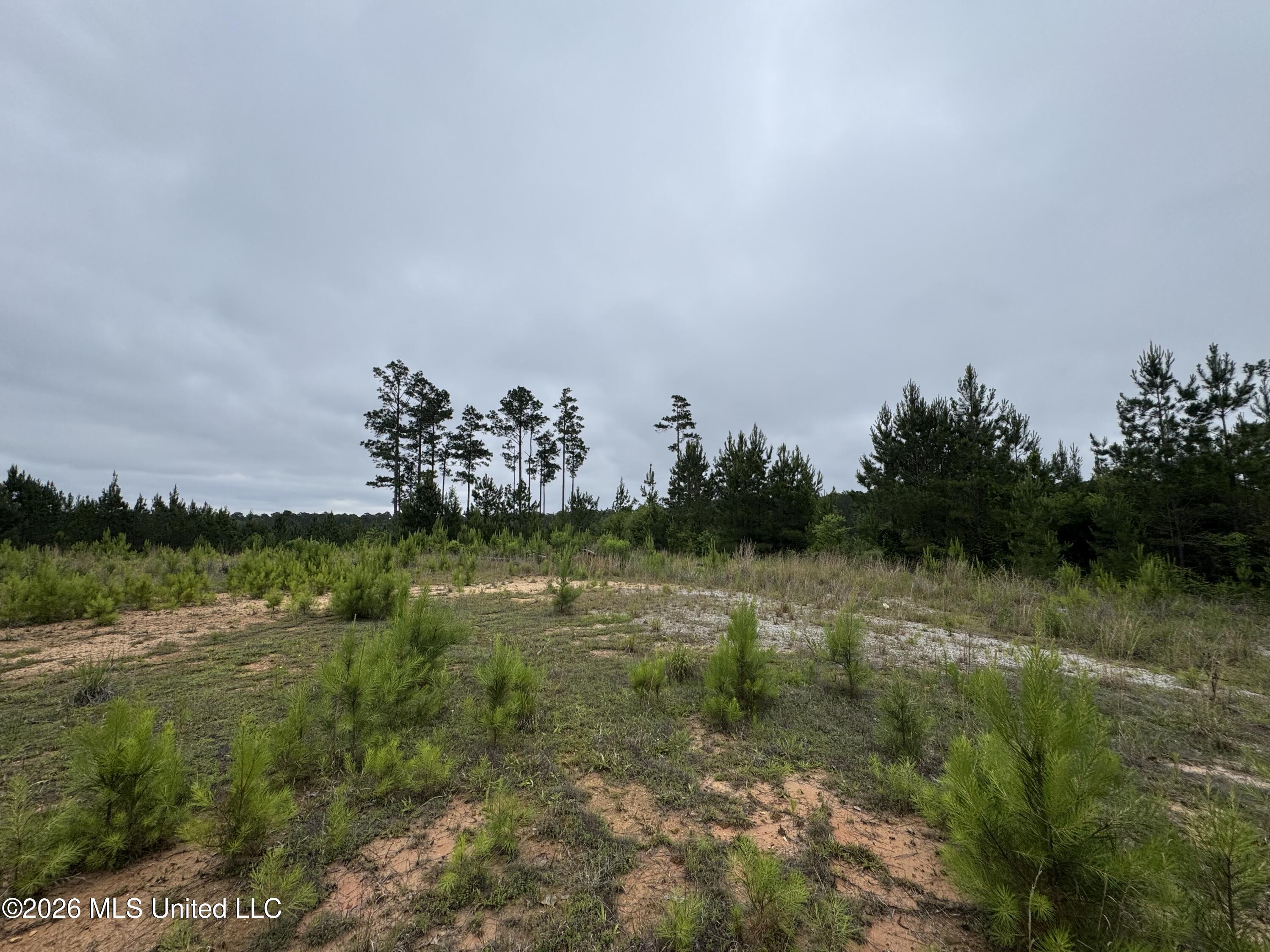 35 Parker Road Crosby, MS 39633 - Photo 6 of 18 IMG_1179