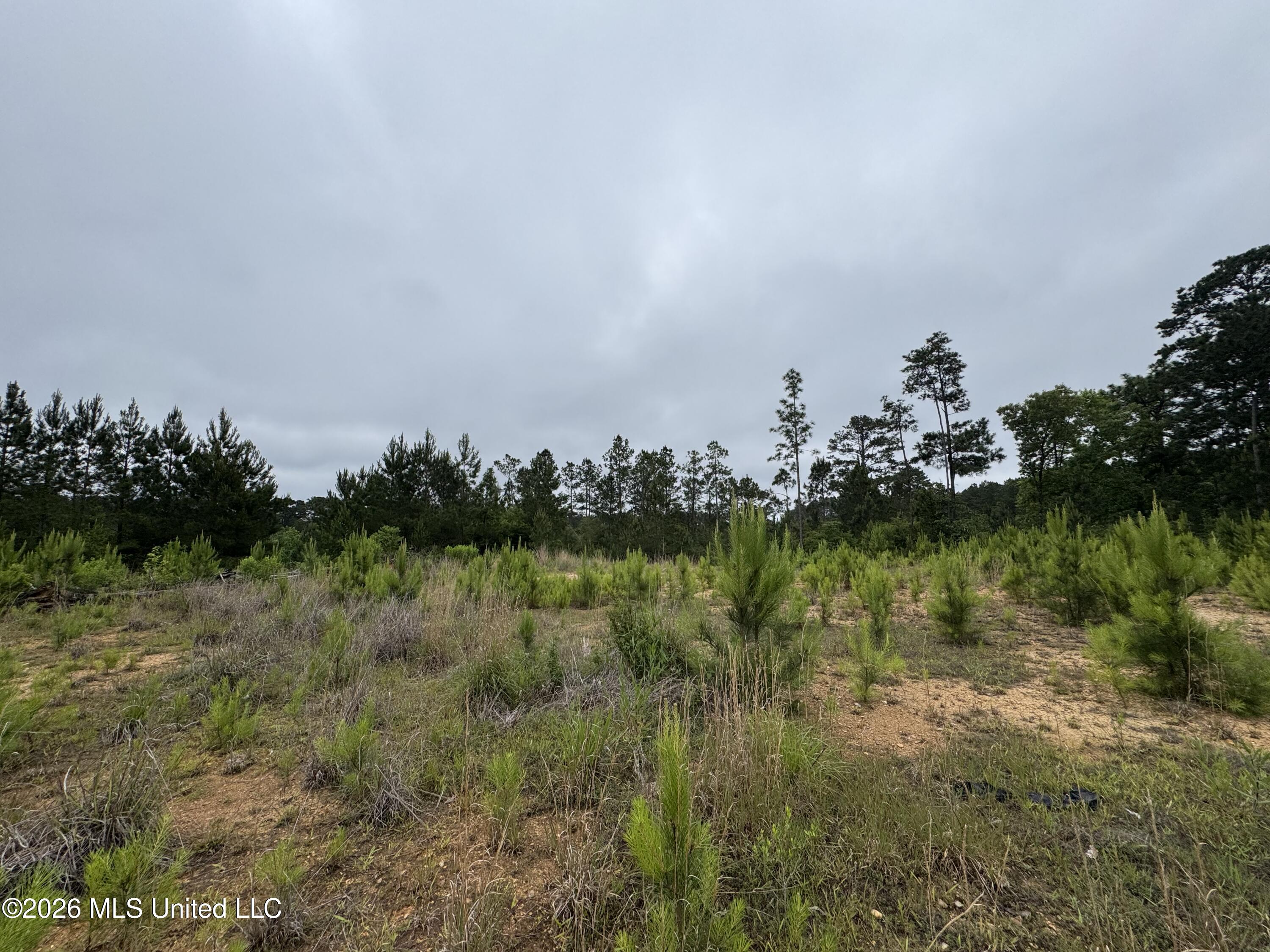 35 Parker Road Crosby, MS 39633 - Photo 7 of 18 IMG_1180