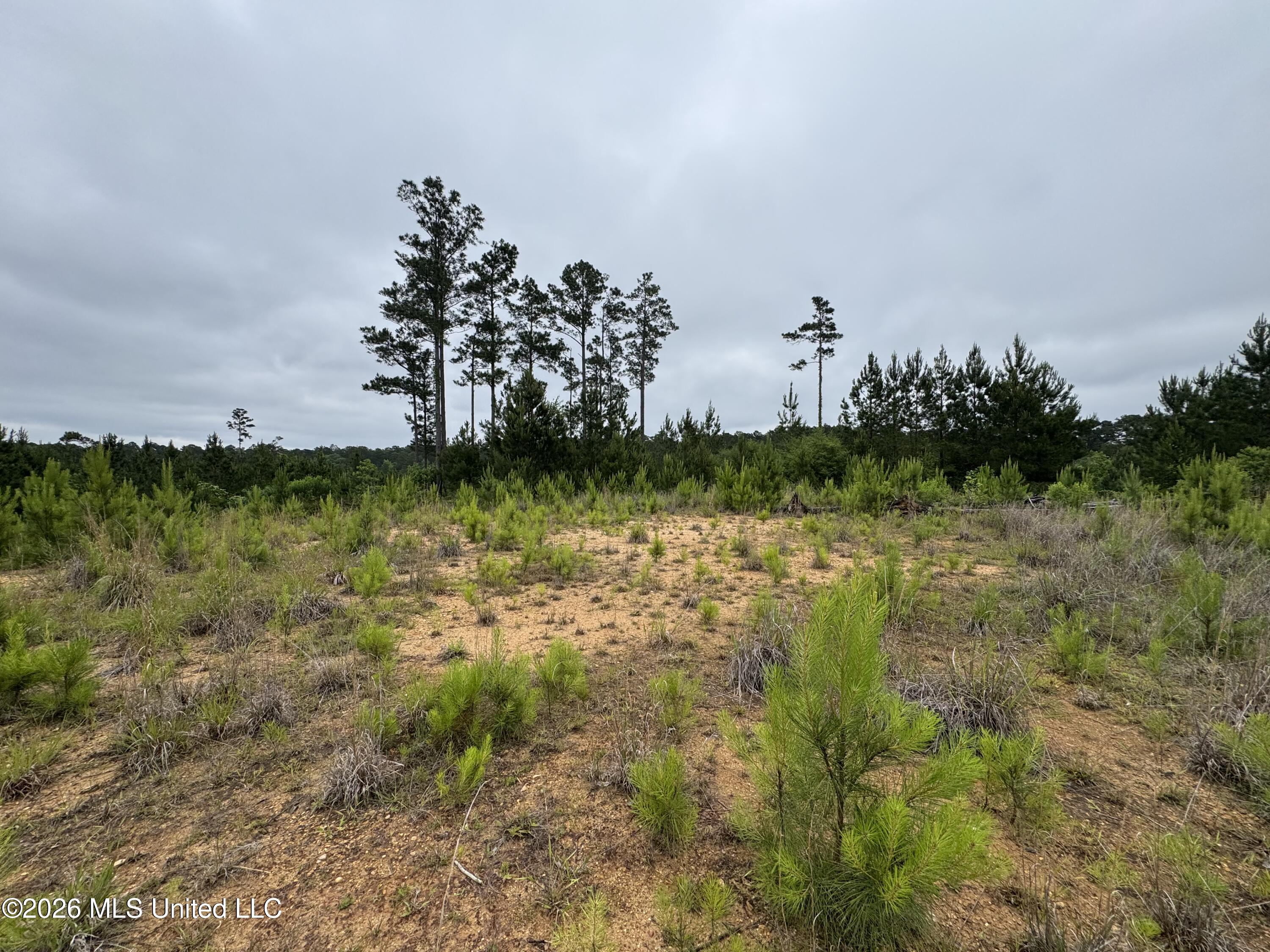 35 Parker Road Crosby, MS 39633 - Photo 8 of 18 IMG_1181