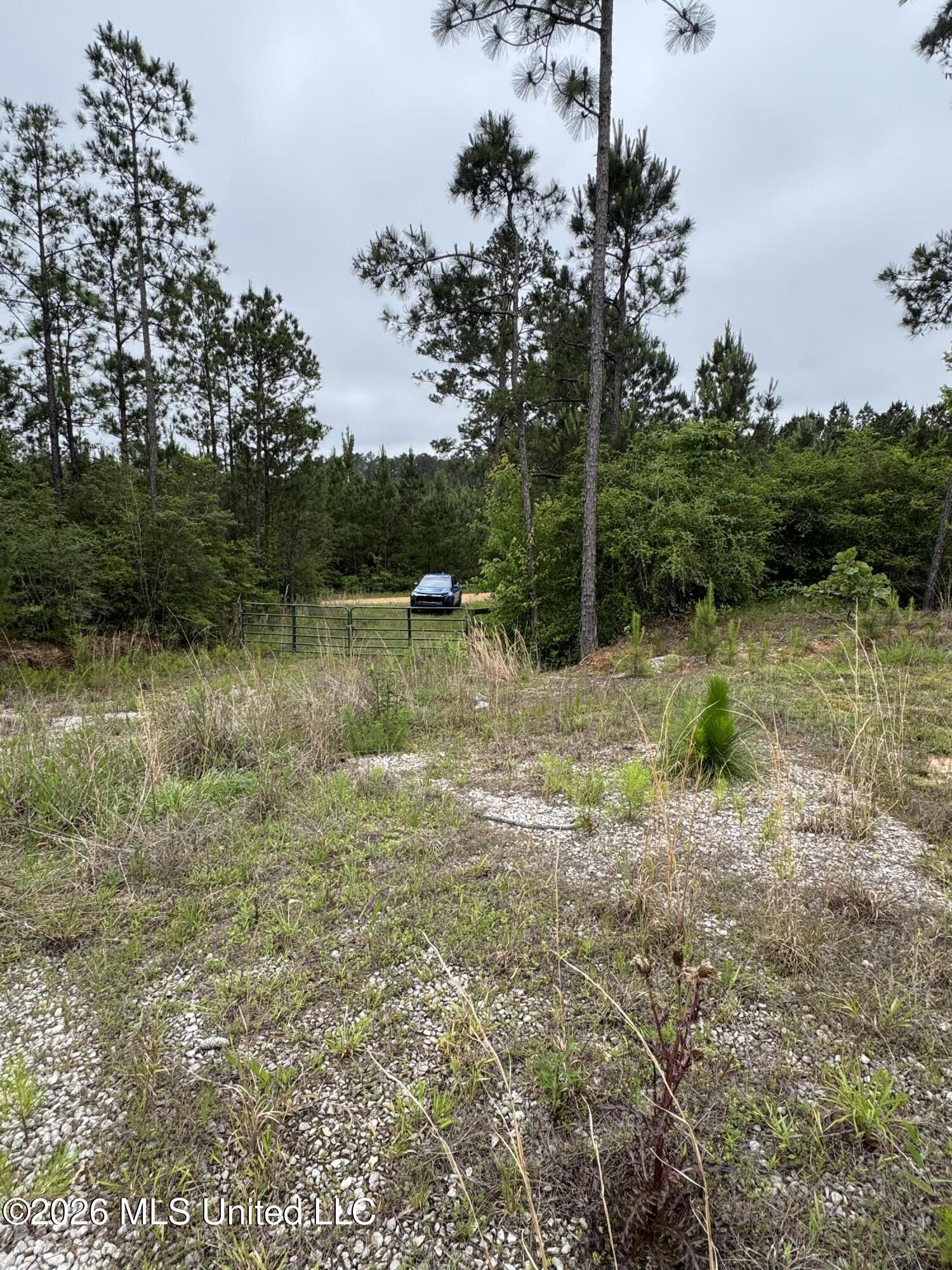 35 Parker Road Crosby, MS 39633 - Photo 9 of 18 IMG_1182