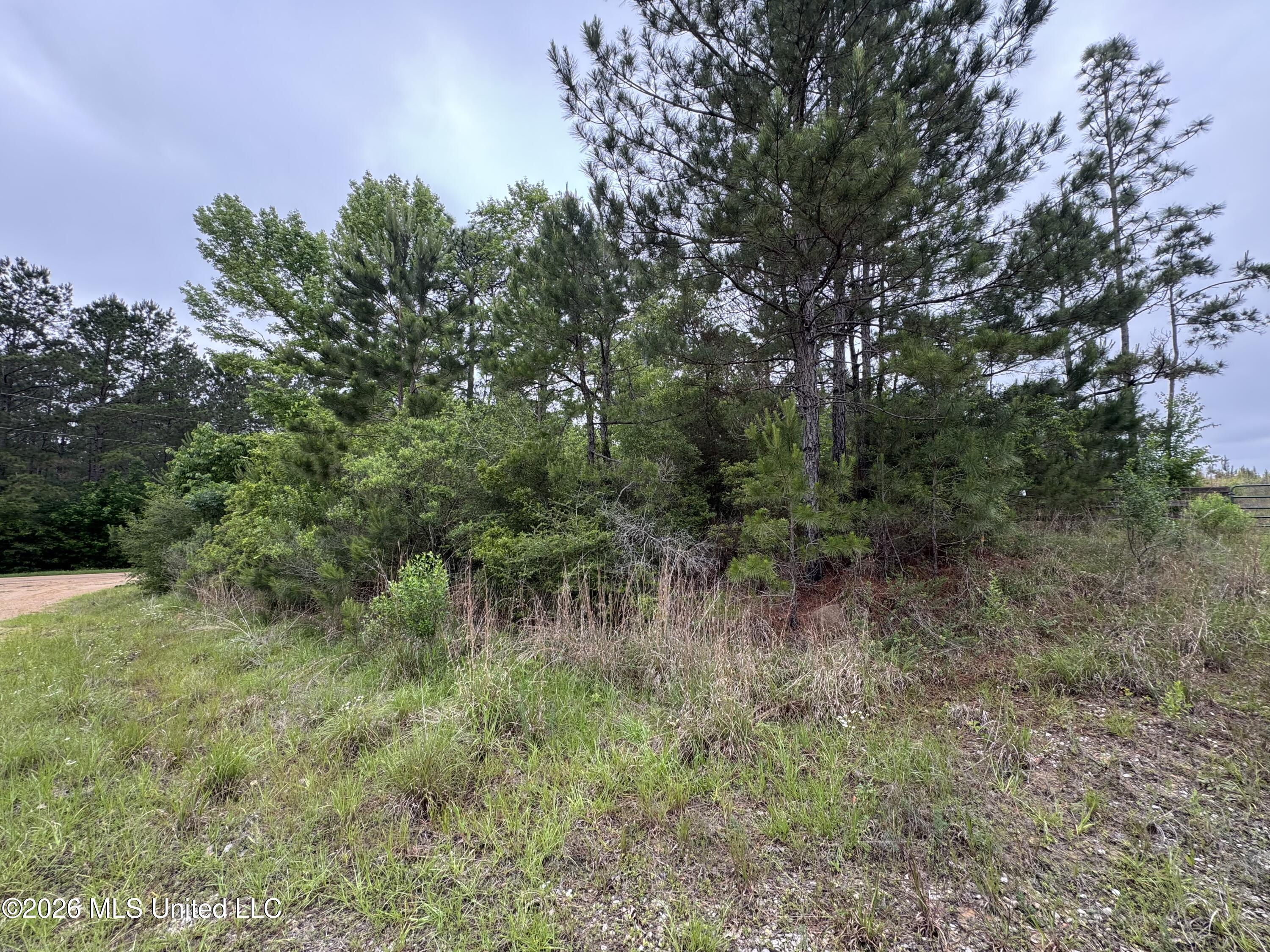 35 Parker Road Crosby, MS 39633 - Photo 10 of 18 IMG_1183