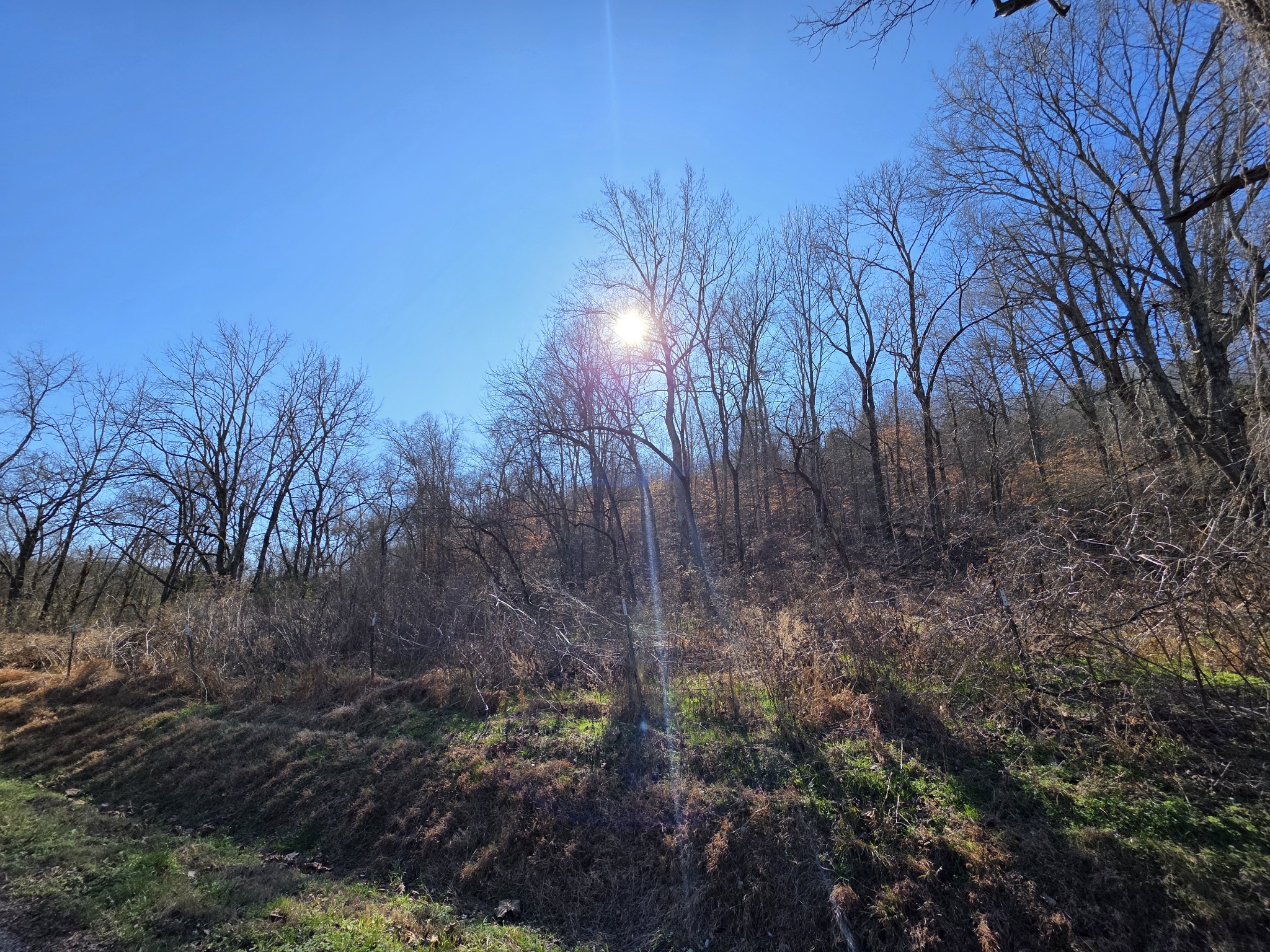 0 Rock Springs Road Ethridge, TN 38456 - Photo 14 of 22
