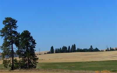 13216 South Andrus Road Cheney, WA 99004 - Photo 17 of 20