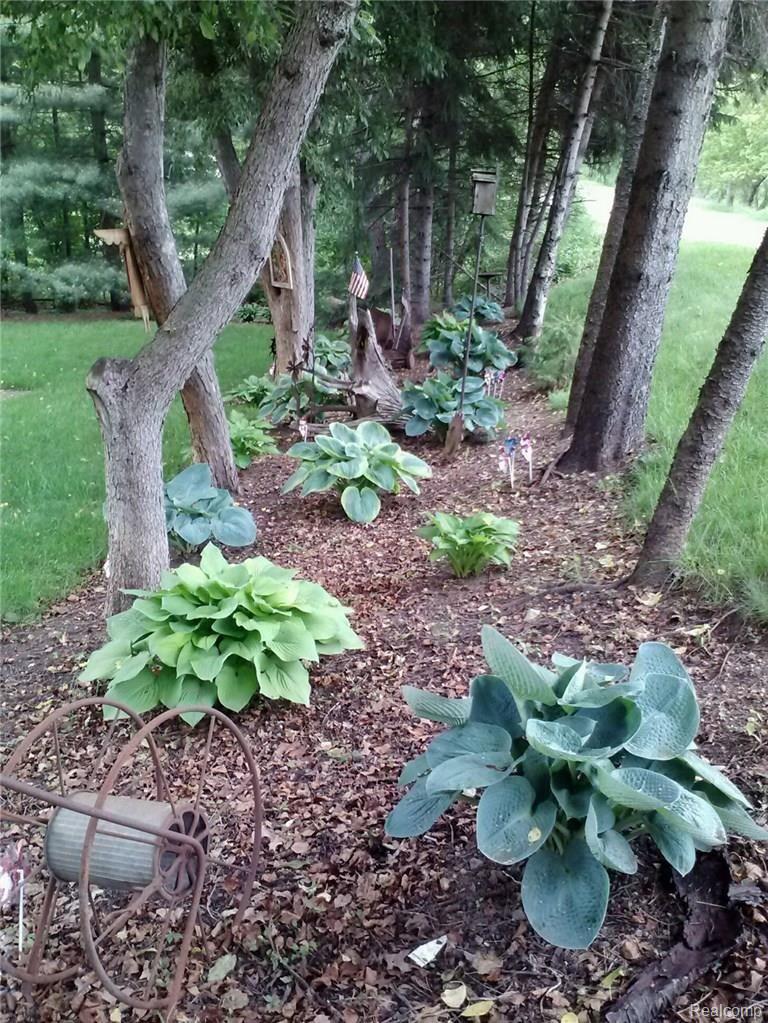 8826 Pettysville Road Pinckney, MI 48169 - Photo 21 of 31 22 LANDSCAPE.jpg