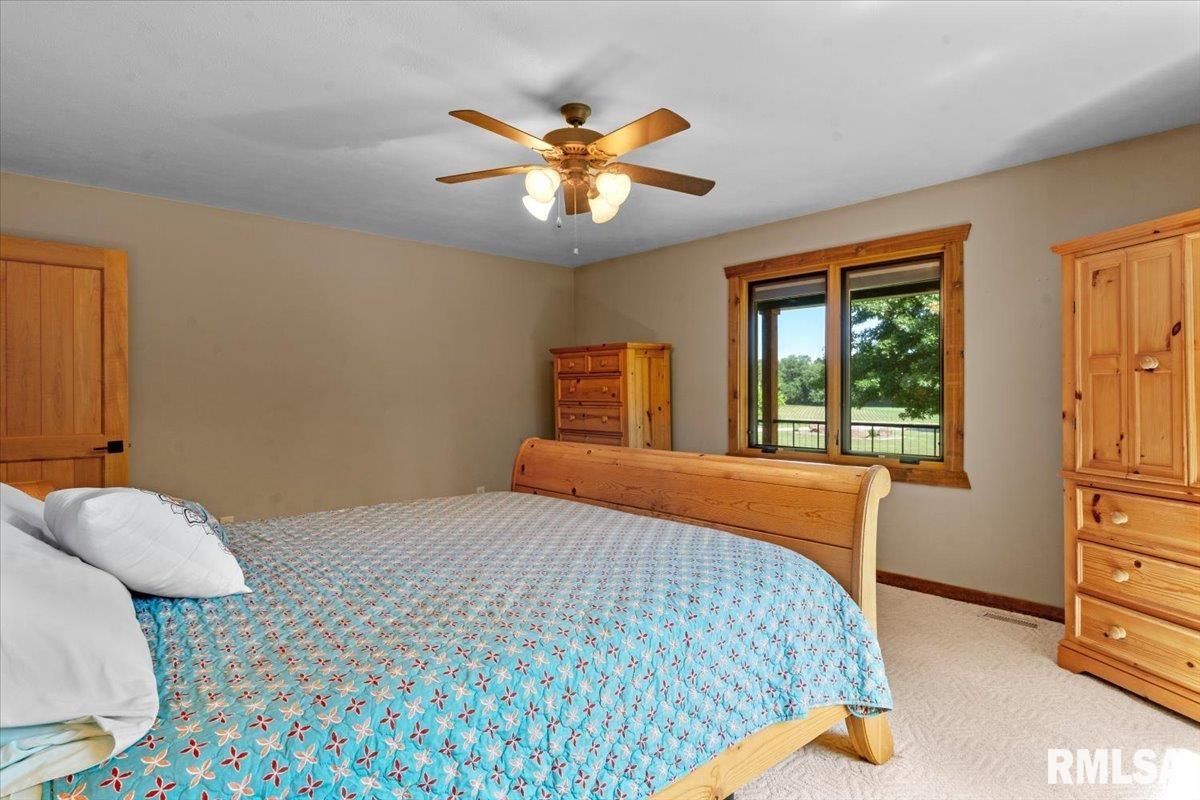 3880 Moose Cry Road Auburn, IL 62615 - Photo 36 of 74
