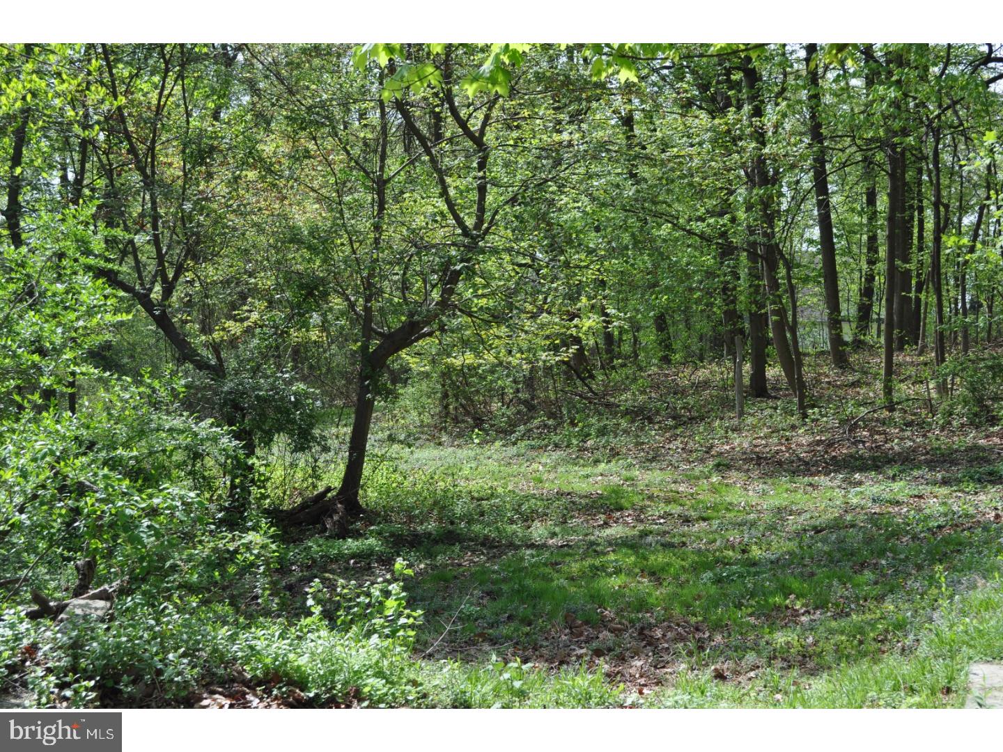 473 Conestoga Road, Unit LOT 4 Malvern, PA 19355 - Photo 1 of 1 Gallery Image 1