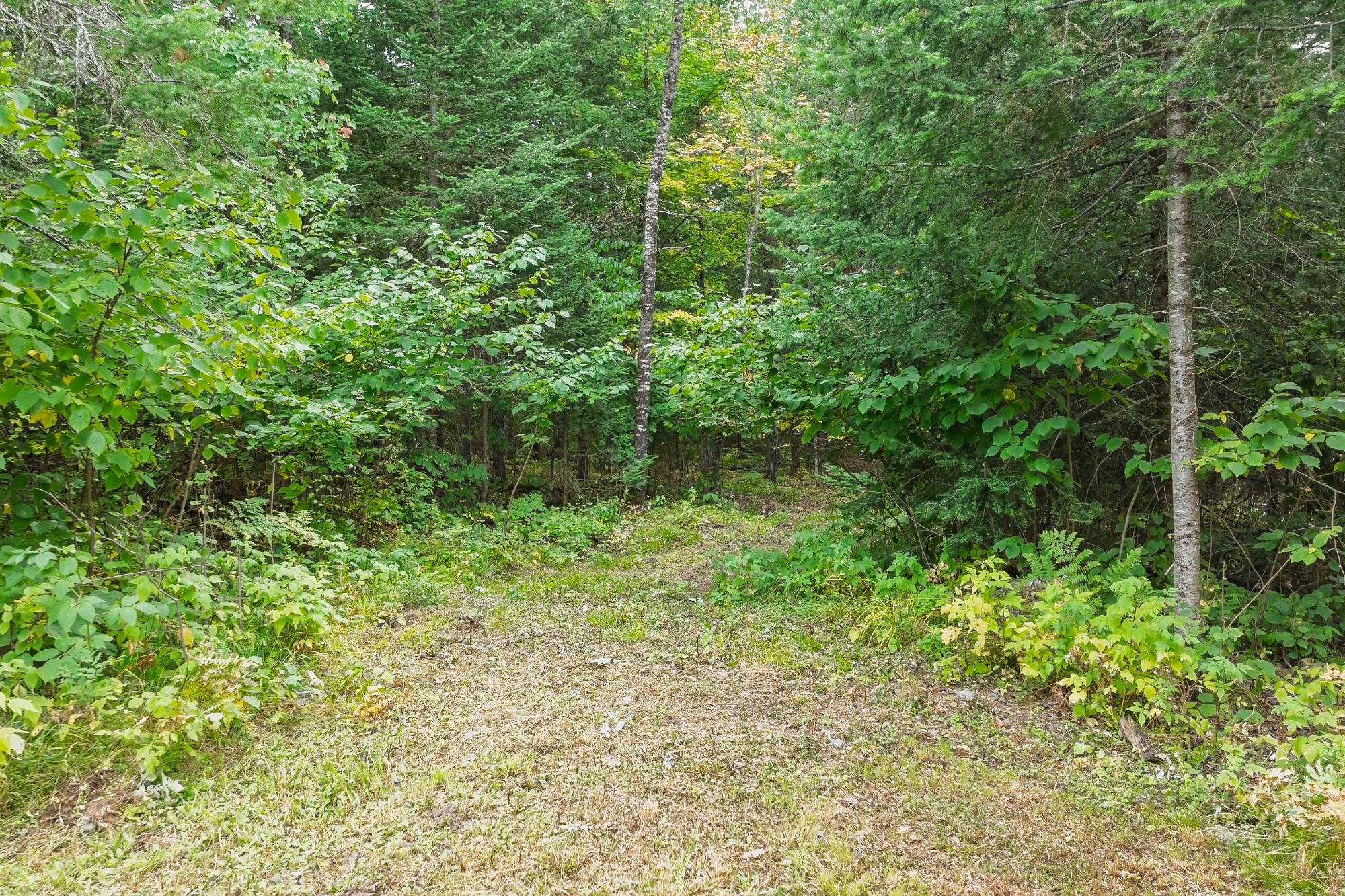 4675 Coveyville Road Phelps, WI 54554 - Photo 31 of 52 Gallery Image 31