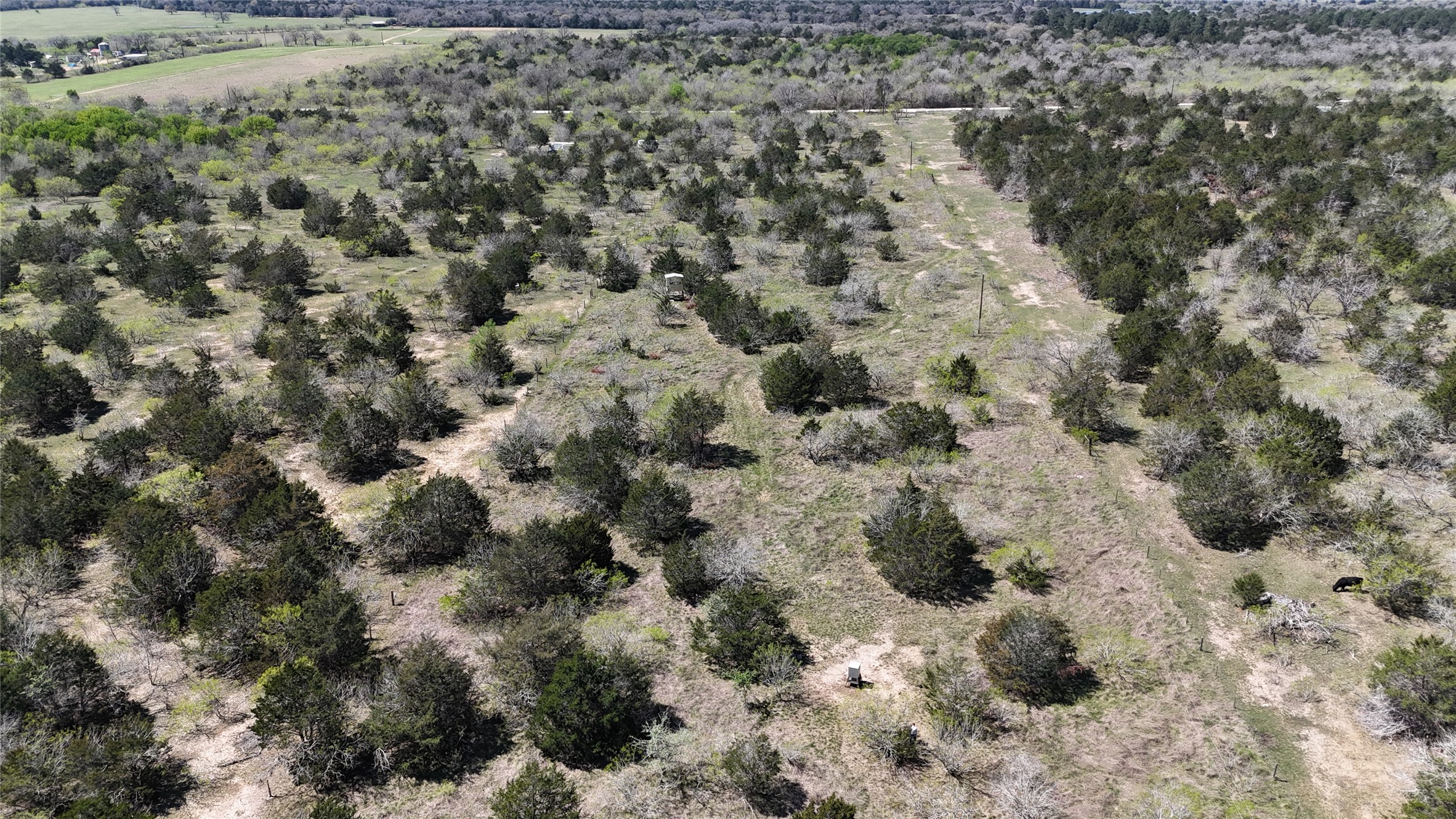 Tbd Patterson Road Flatonia, TX 78941 - Photo 25 of 35 Overview of rural landscape