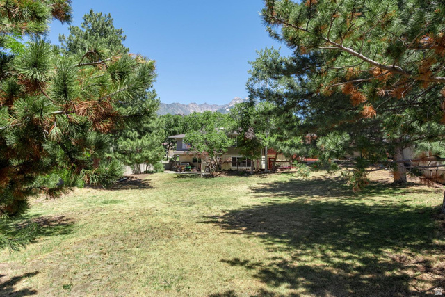9676 Mt Jordan Road Sandy, UT 84092 - Photo 37 of 38