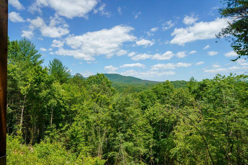 216 Old Orchard Road Ellijay, GA 30536 - Photo 26 of 59 a view of a bunch of trees