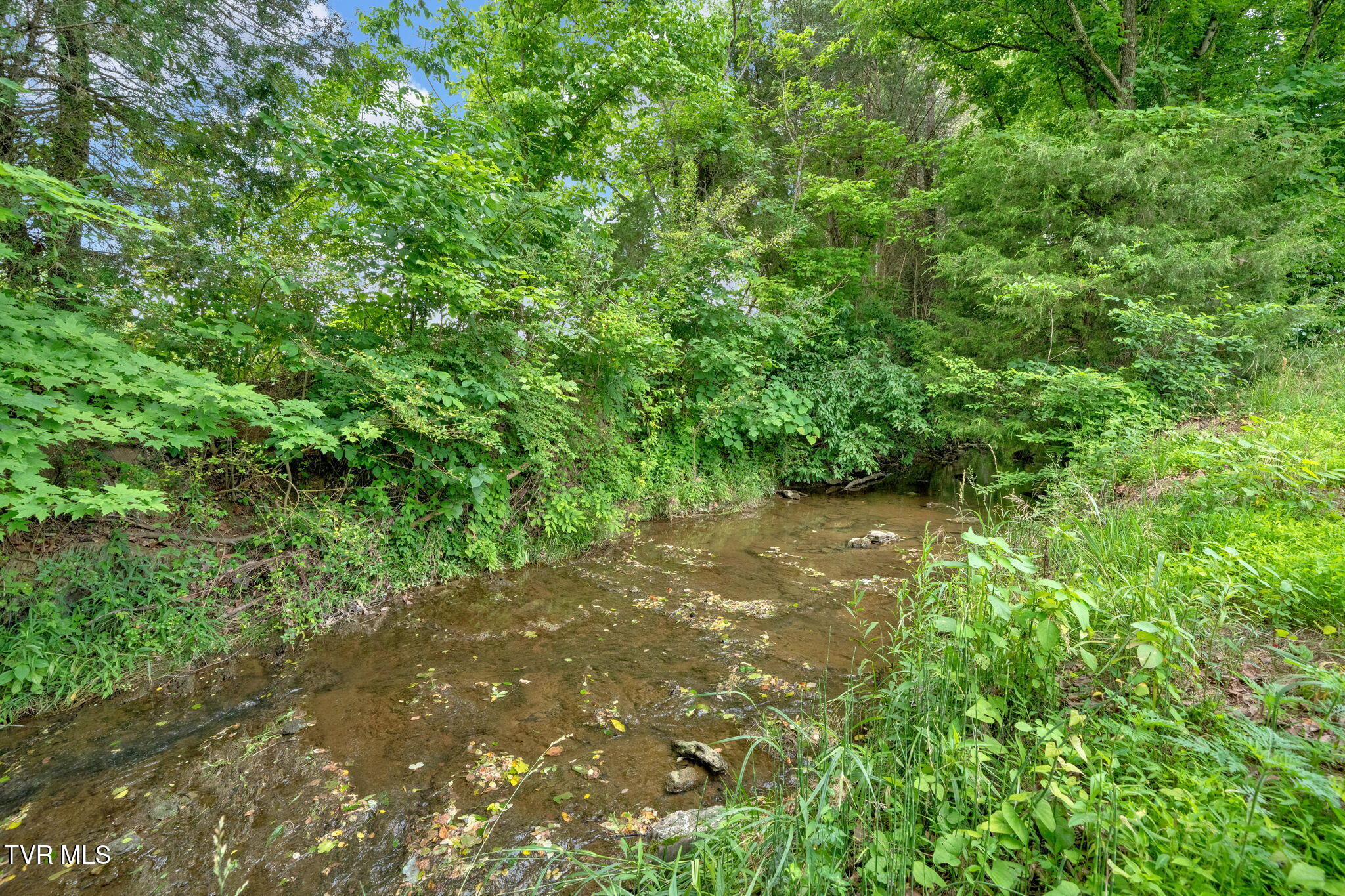 3453 Bailey Ranch Road Kingsport, TN 37660 - Photo 69 of 74 Creek