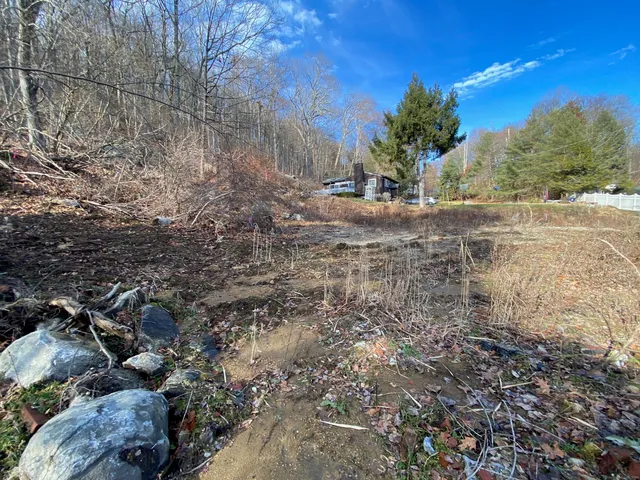a view of dirt field with large trees