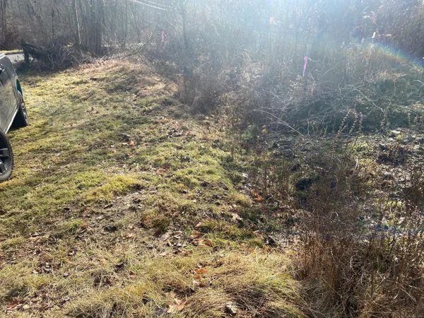 a view of a backyard of a house