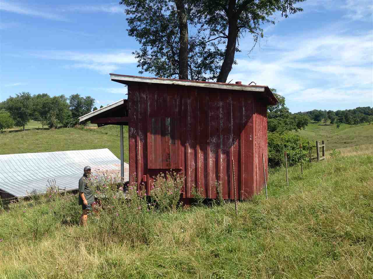 111-acres Ridge Road Timberville, VA 22853 - Photo 11 of 30 Gallery Image 11