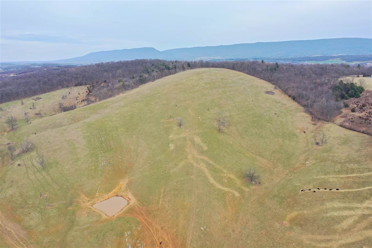 111-acres Ridge Road Timberville, VA 22853 - Photo 30 of 30 Gallery Image 30