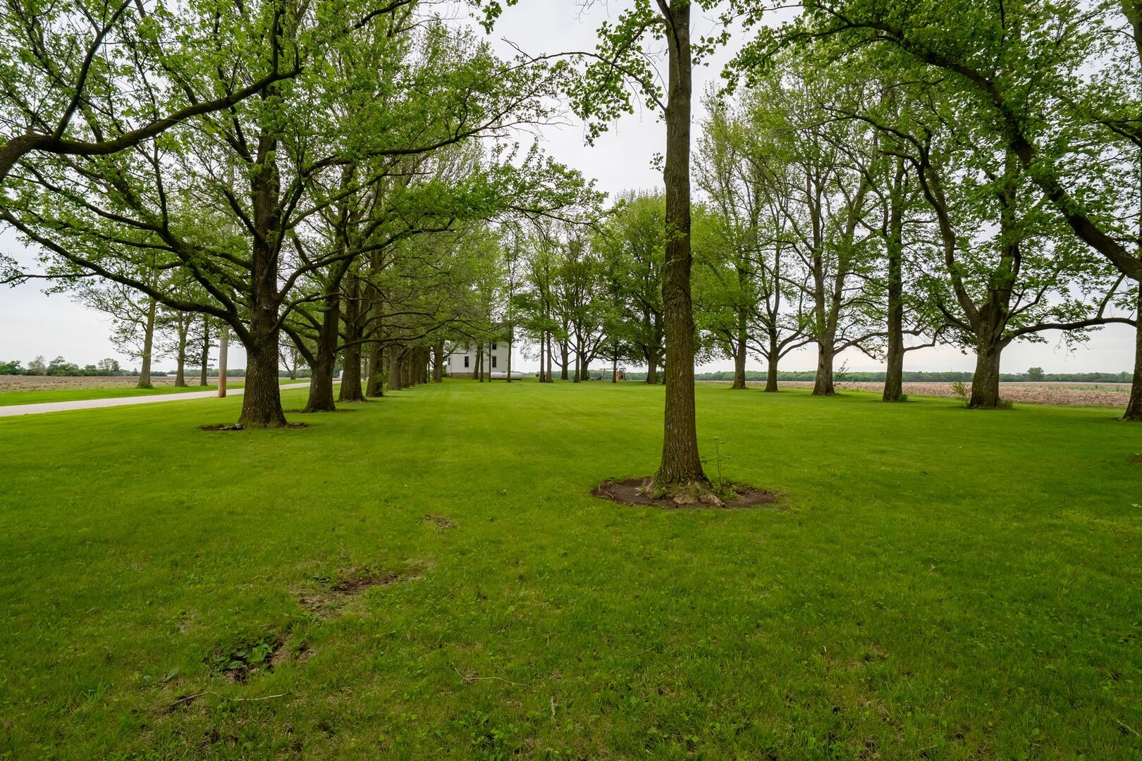 12610 North 1900 E Road Fairbury, IL 61739 - Photo 35 of 36