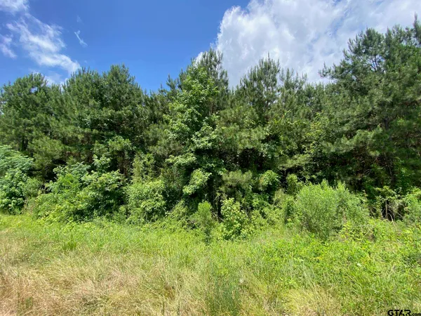 $320,815 | 0 Cr 2218 Rusk Tx 75785, Rusk, TX 75785