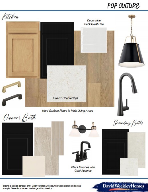 1752 Howler Way Montgomery, TX 77316 - Photo 2 of 41 interior color scheme