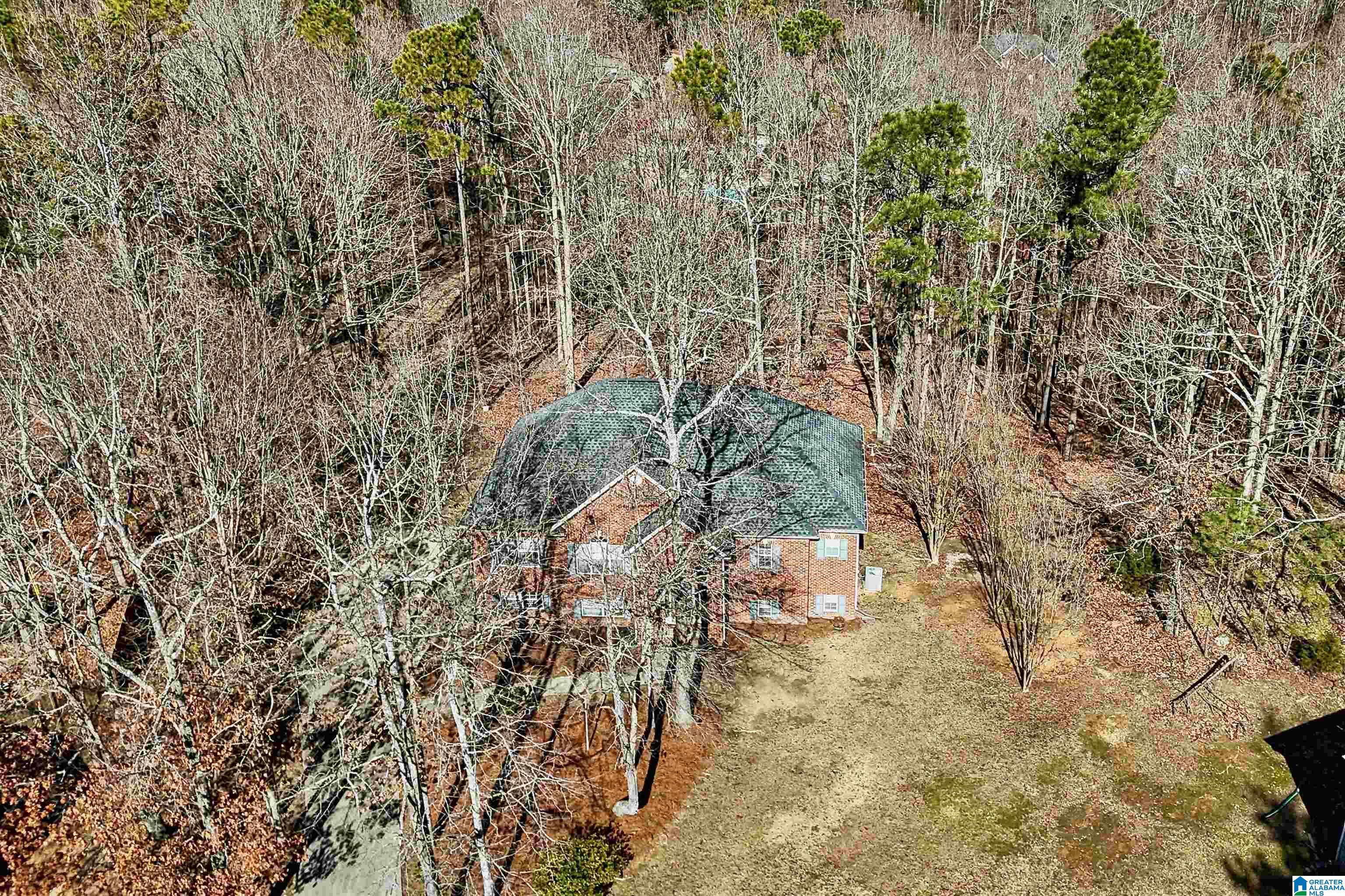 100 Magnolia Ridge Circle Chelsea, AL 35043 - Photo 47 of 51