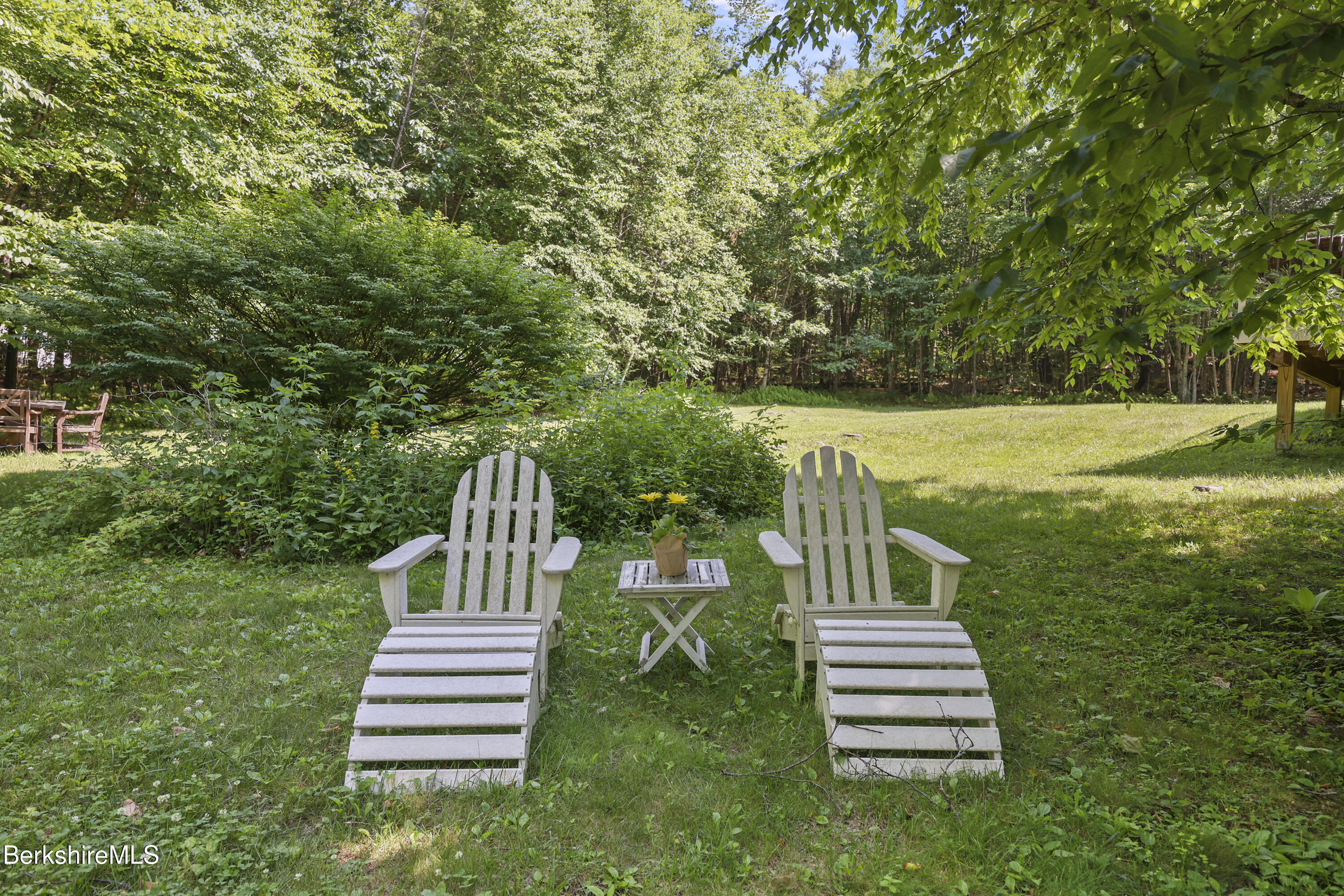 227 Tolland Road Otis, MA 01029 - Photo 73 of 75 335 Back Yard