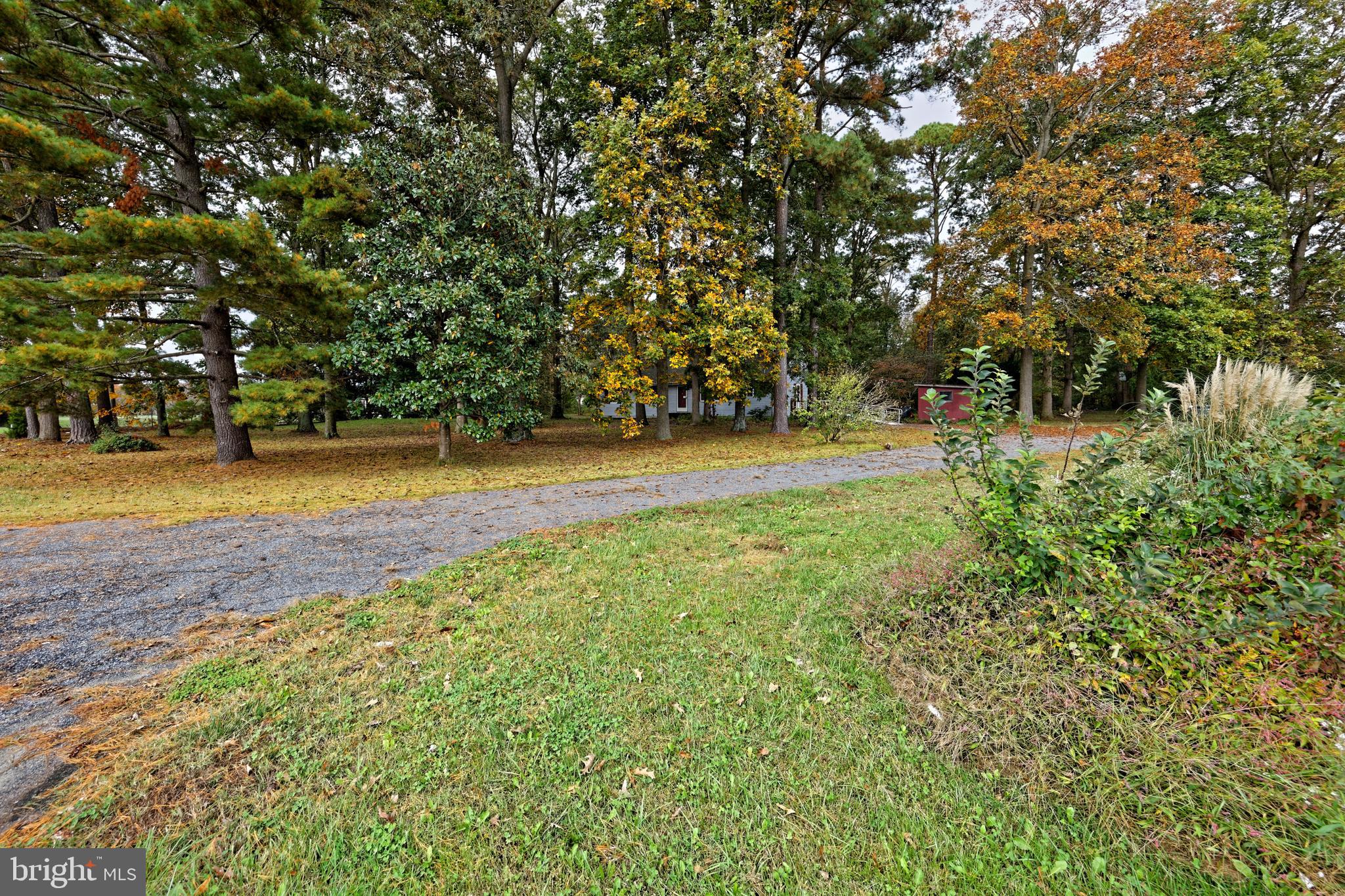 24293 Zoar Road Georgetown, DE 19947 - Photo 24 of 28 Gallery Image 24