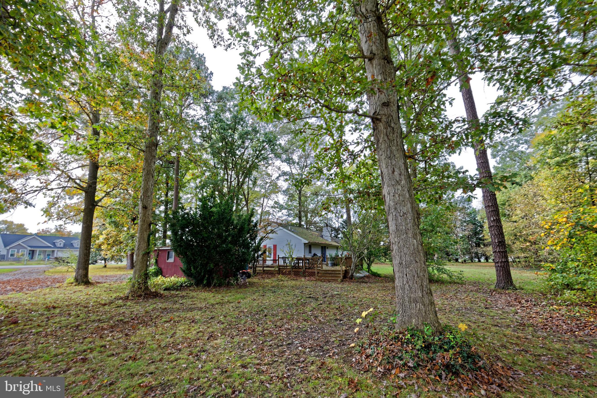 24293 Zoar Road Georgetown, DE 19947 - Photo 25 of 28 Gallery Image 25