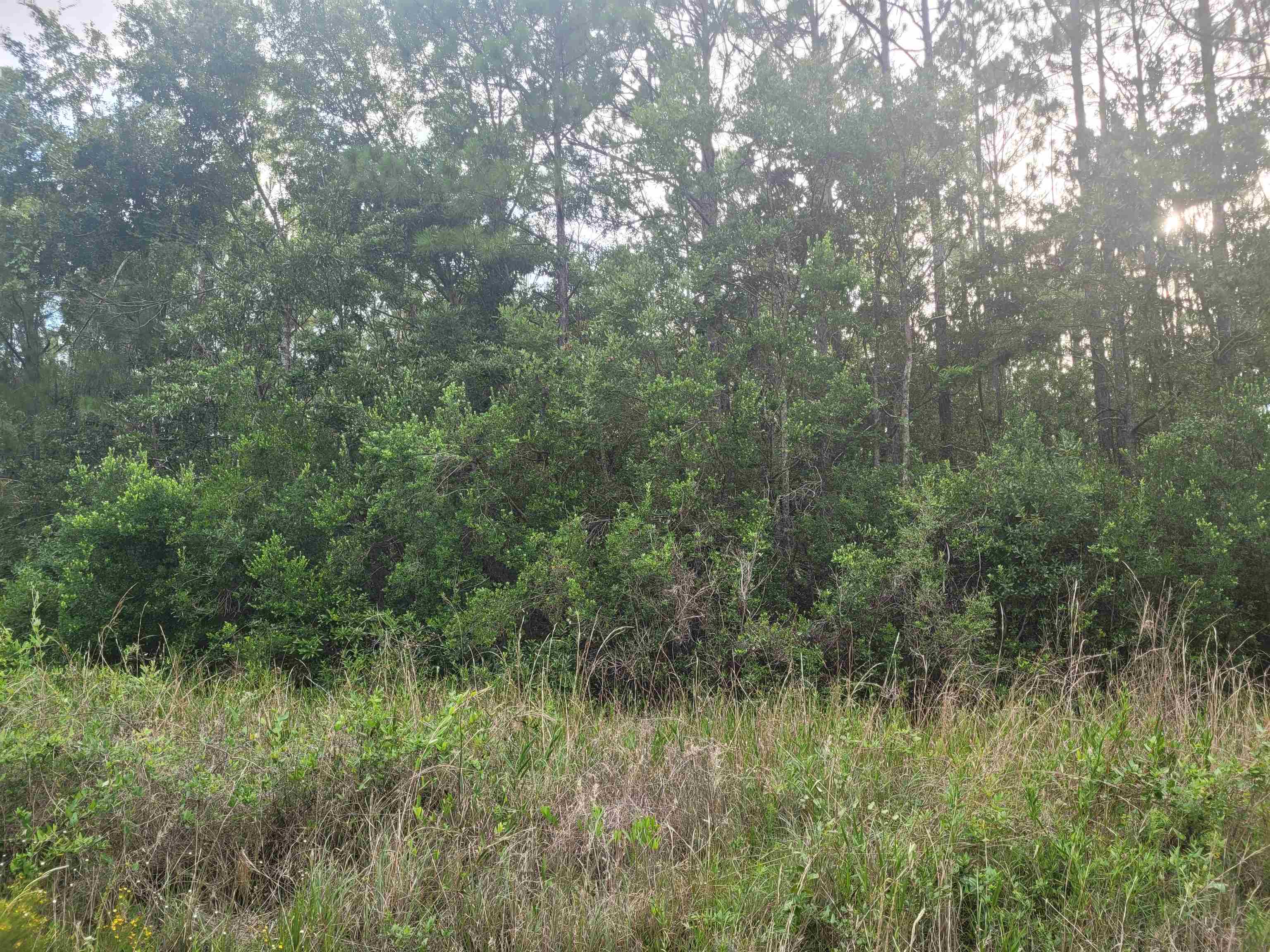 11675 Mary Ann Bch Road Fairhope, AL 36532 - Photo 6 of 8