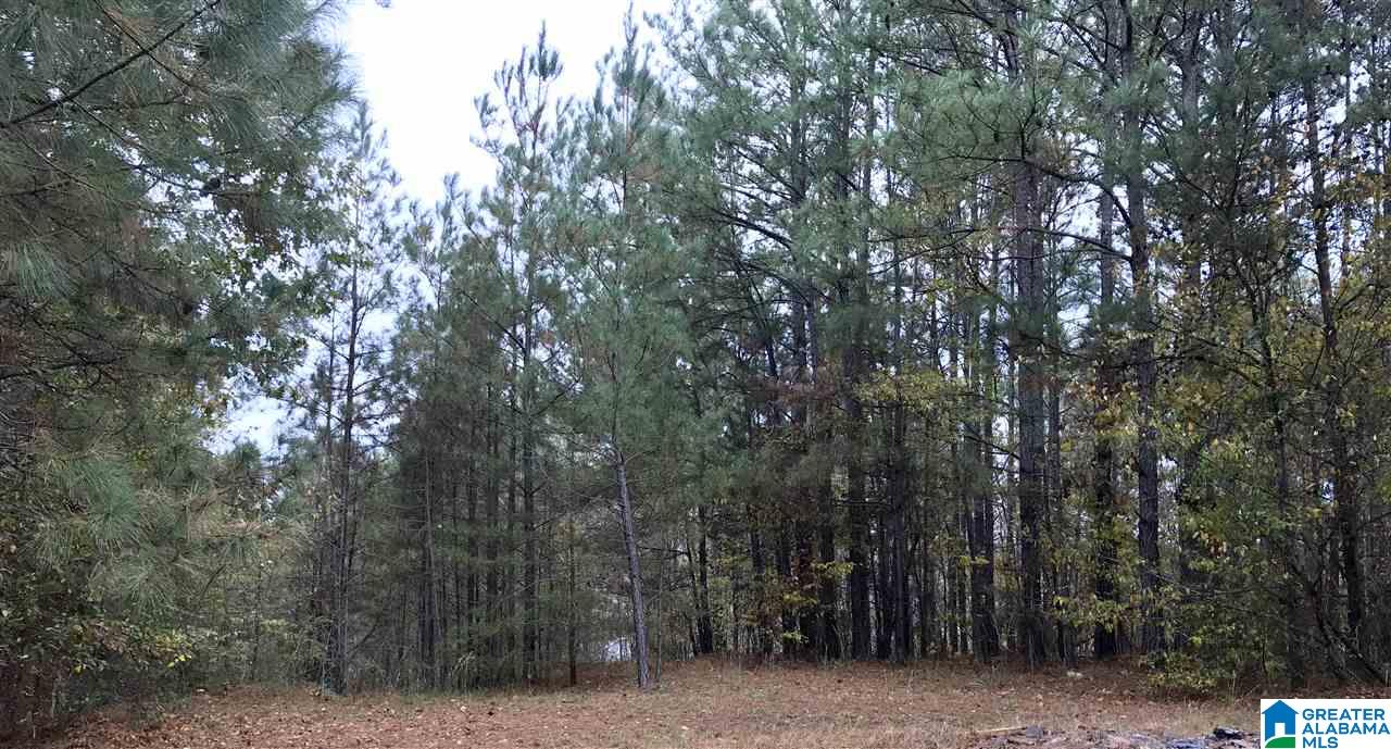 21 Seth Circle Warrior, AL 35180 - Photo 26 of 28