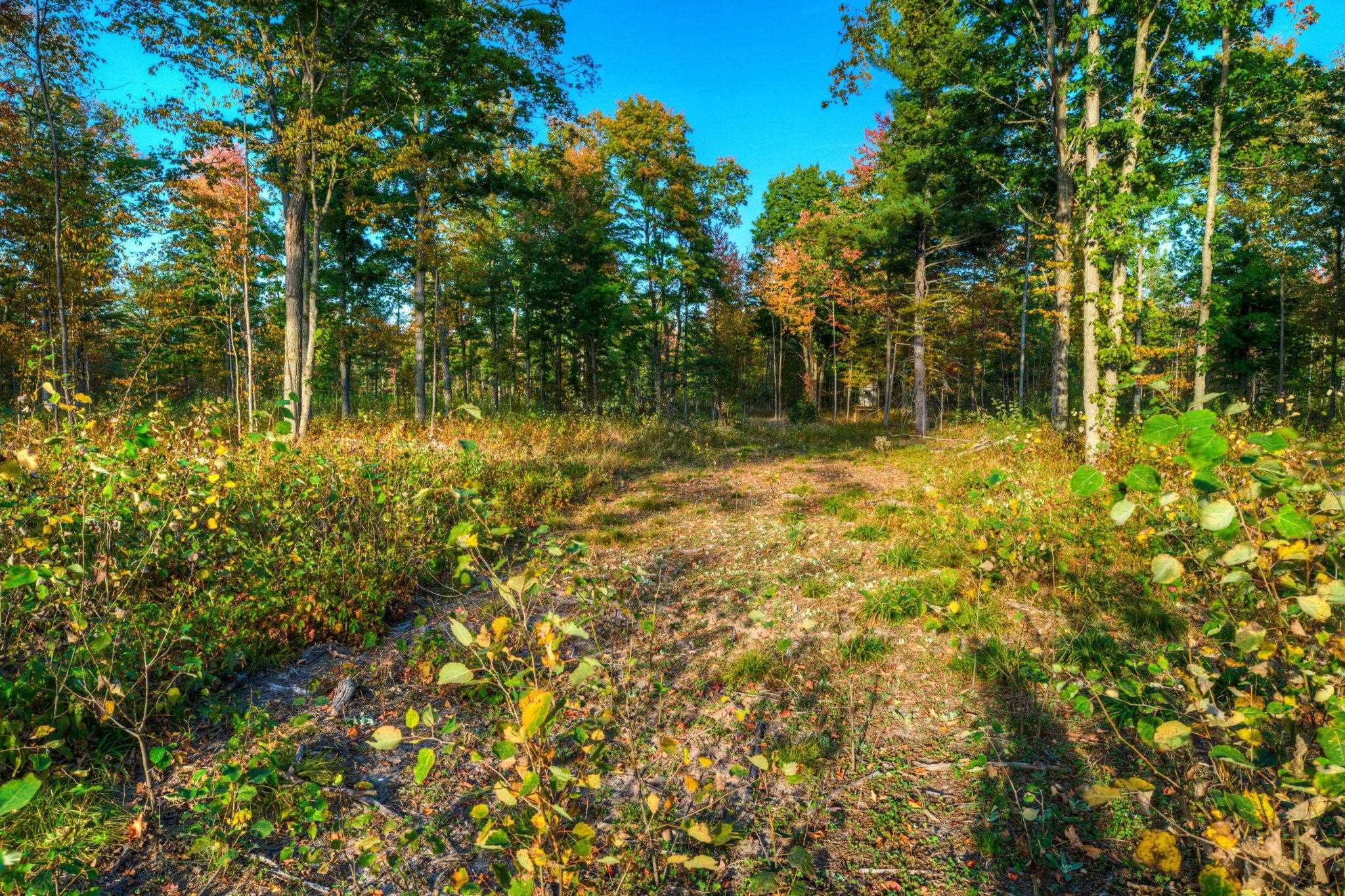 755 North Carmean Road Interlochen, MI 49643 - Photo 18 of 65